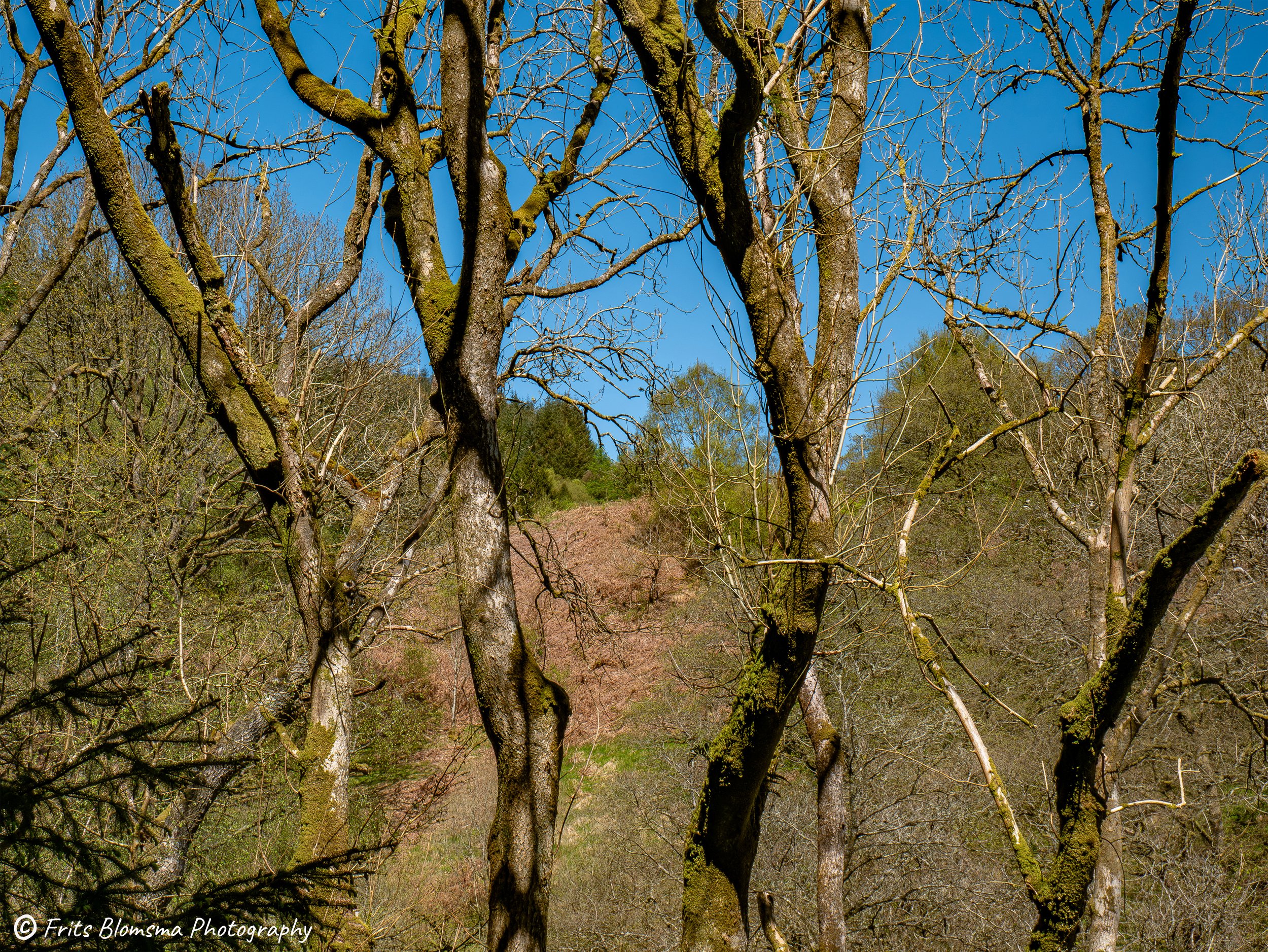 A3 Print | Order Code A3_wales_brecon_1330543_fb