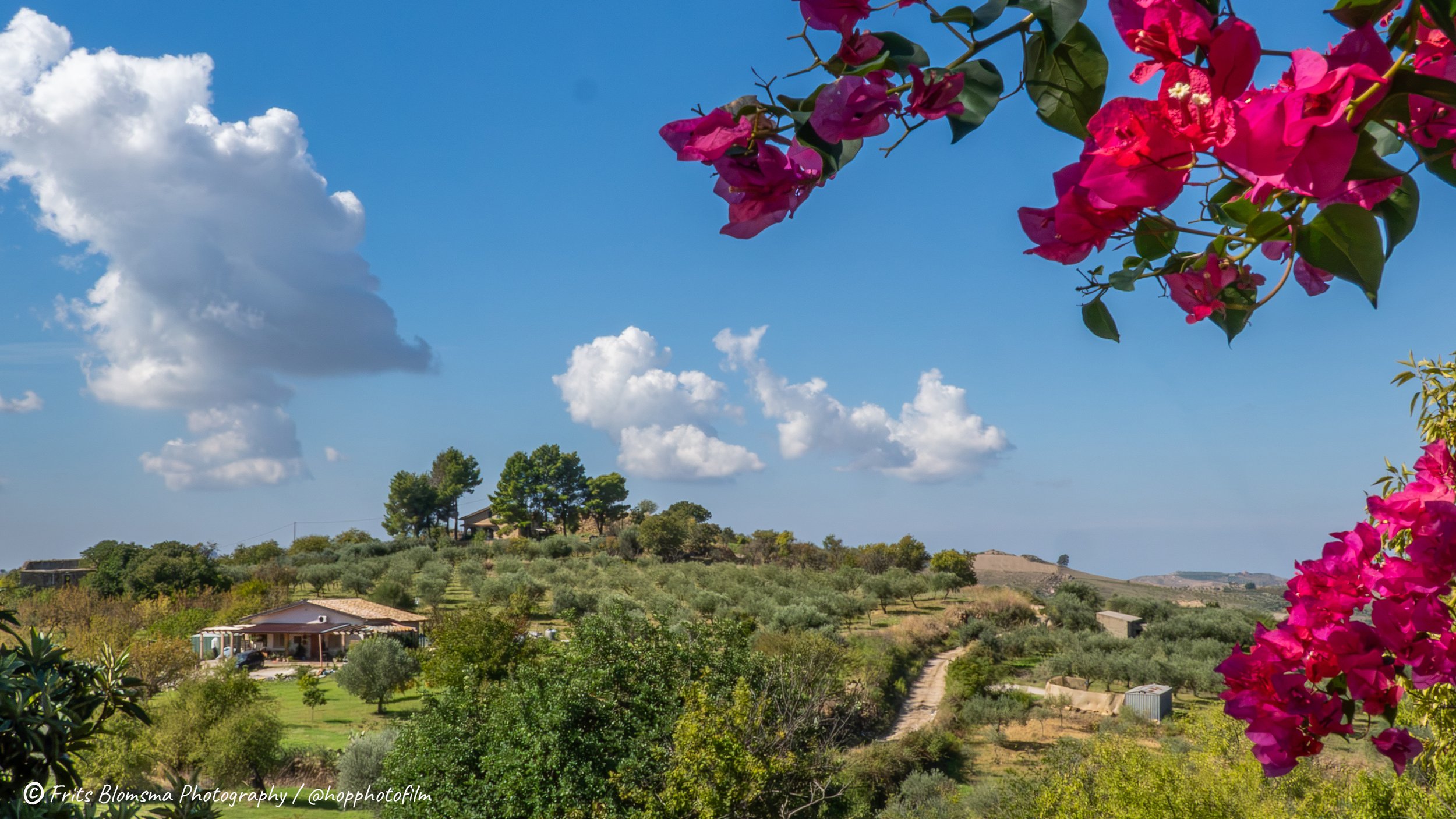 cianciana-034007_hop_web.jpg