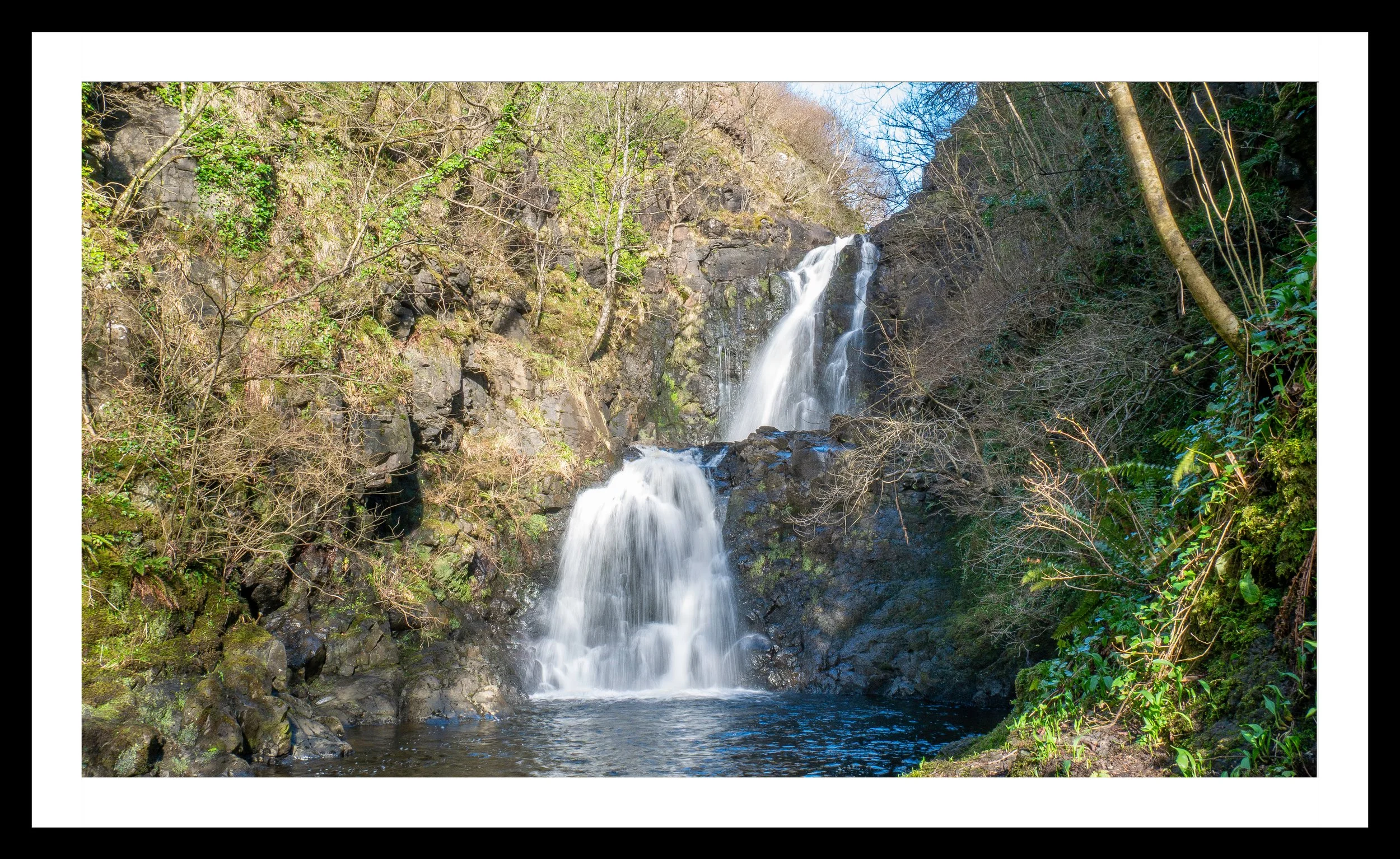 A3 Print | Order Code A31220217