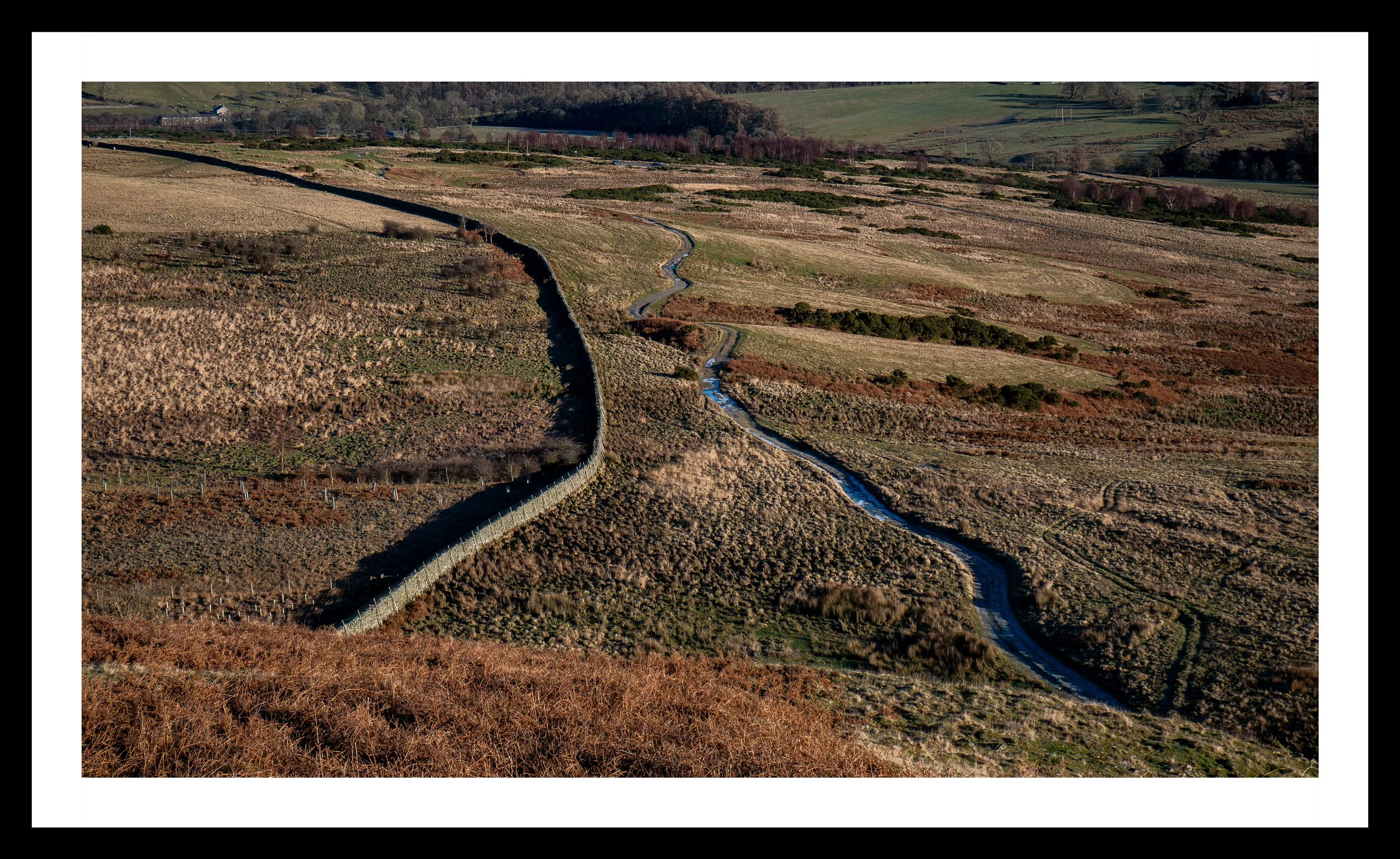 A3 Print | Order Code A3_1310616