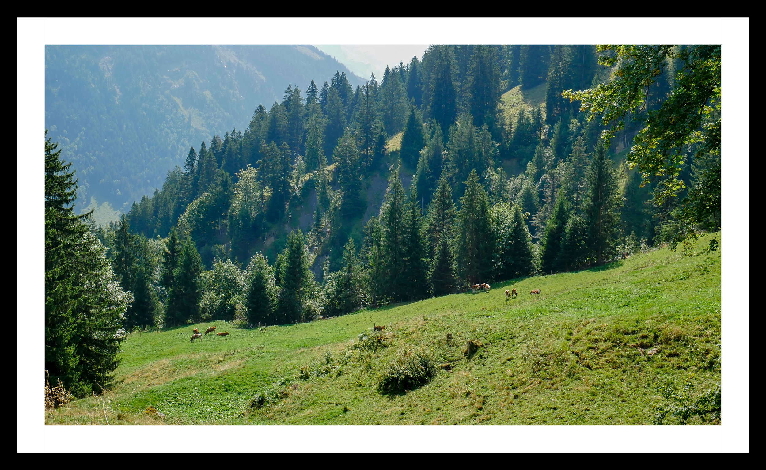 A3 Print |Order Code A3_1260191e