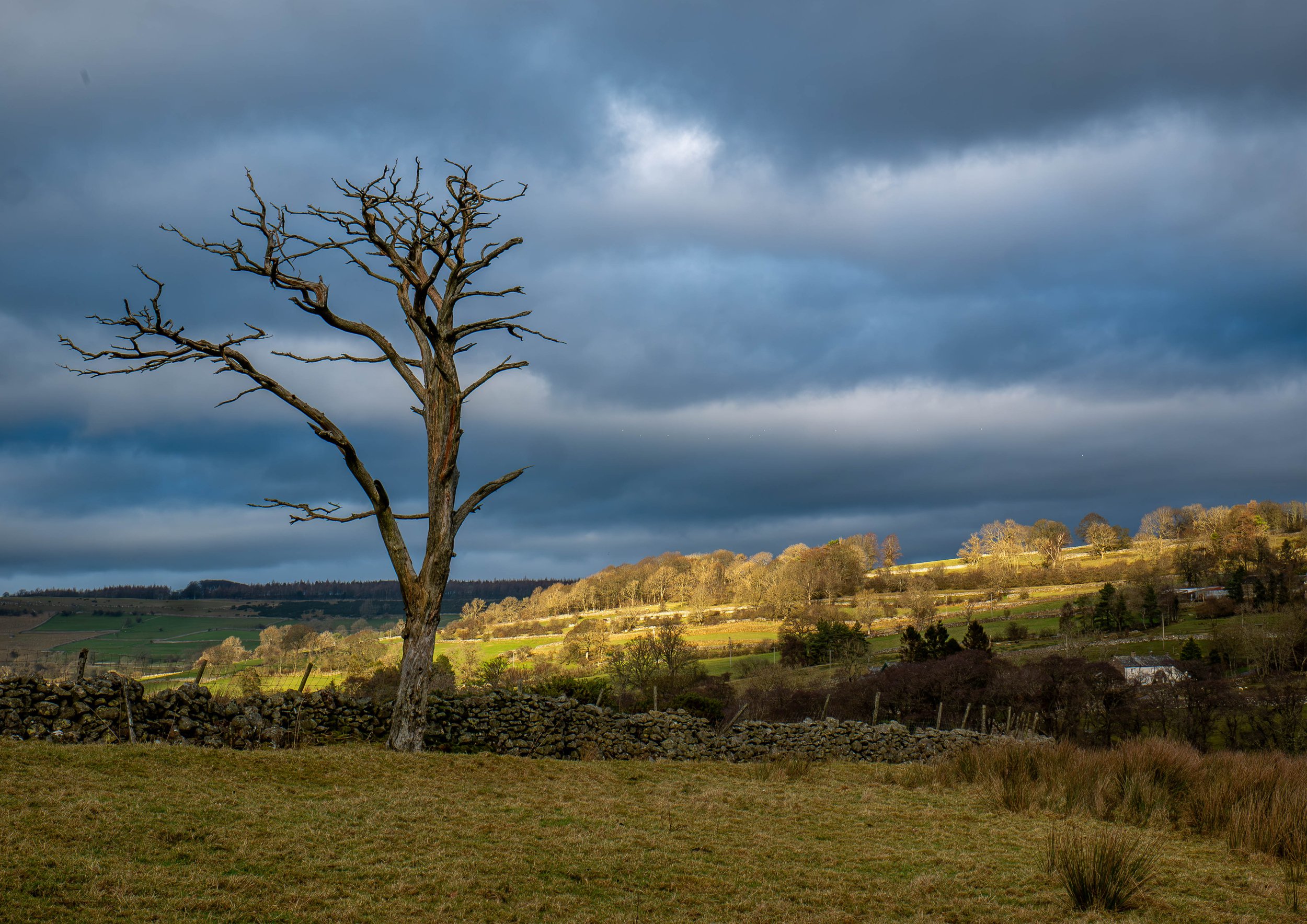 A3 Print | Order Codce A31310487