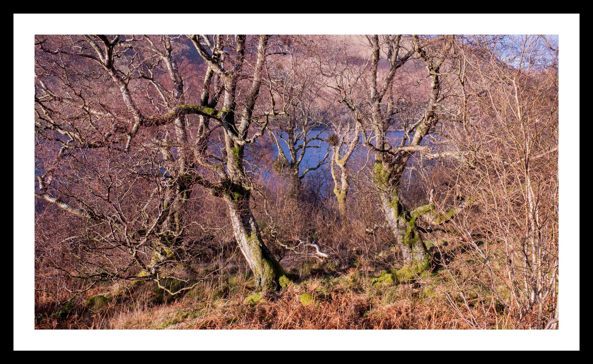 A3 Print | Order Code A3_1310748