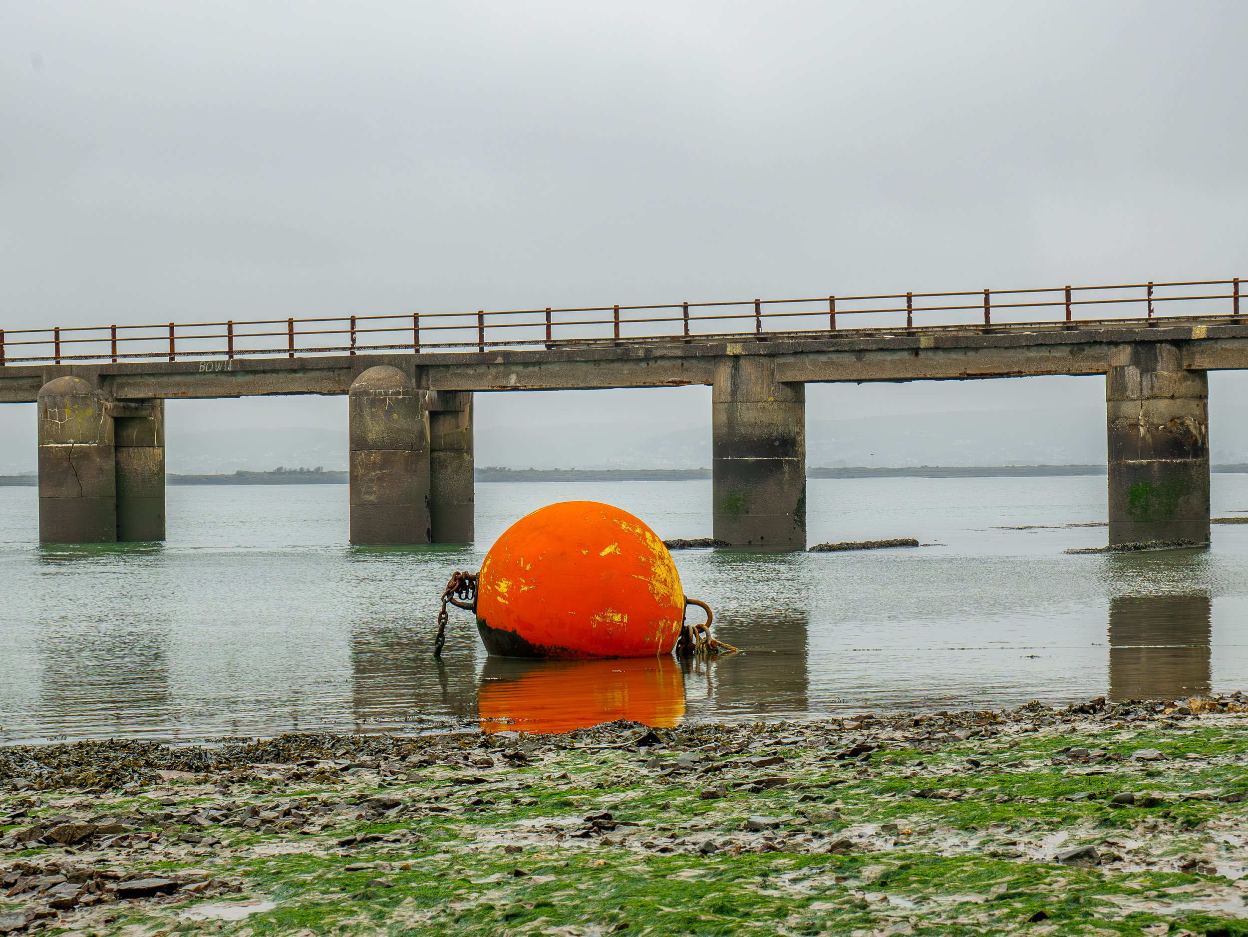 A3 Print | Order Code A3_1320283