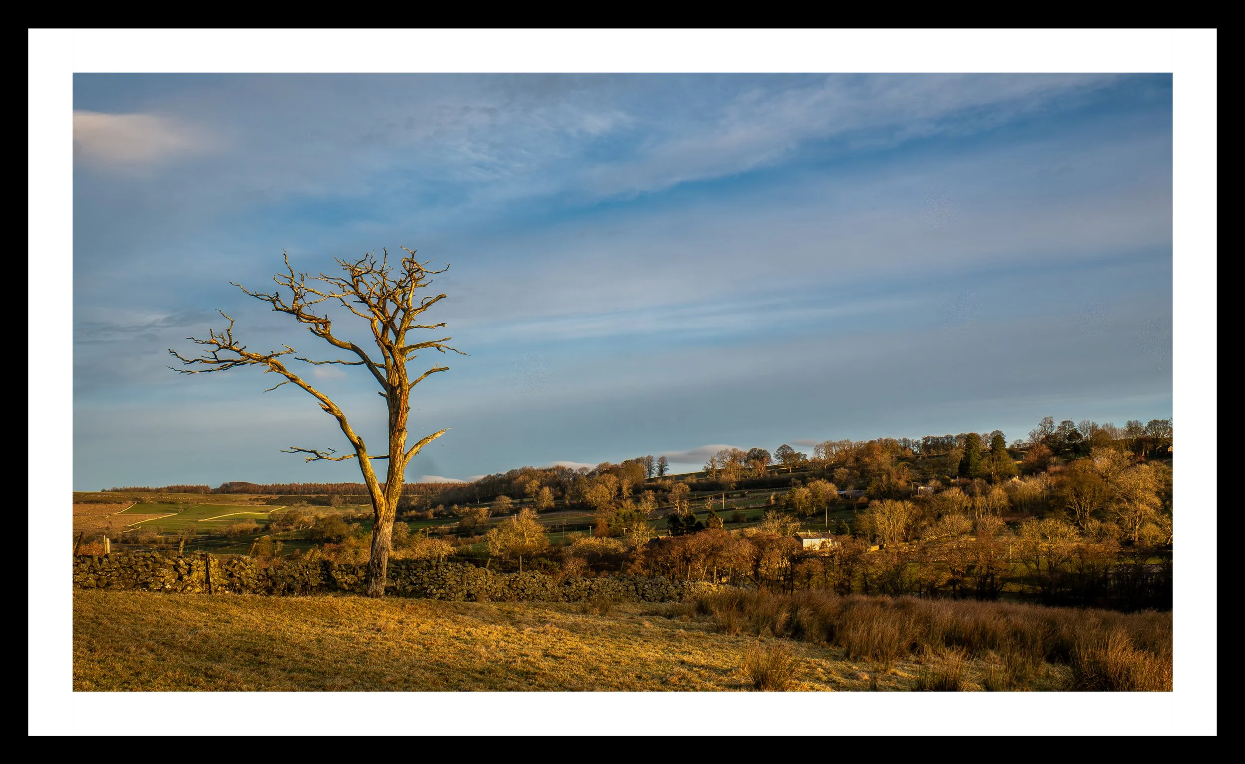 A3 Print | Order Code A3_1310633