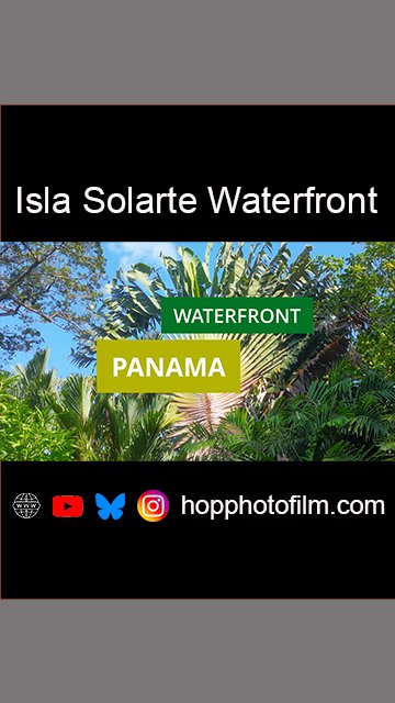 Panama Waterfront Jungle at the Caribbean Sea.