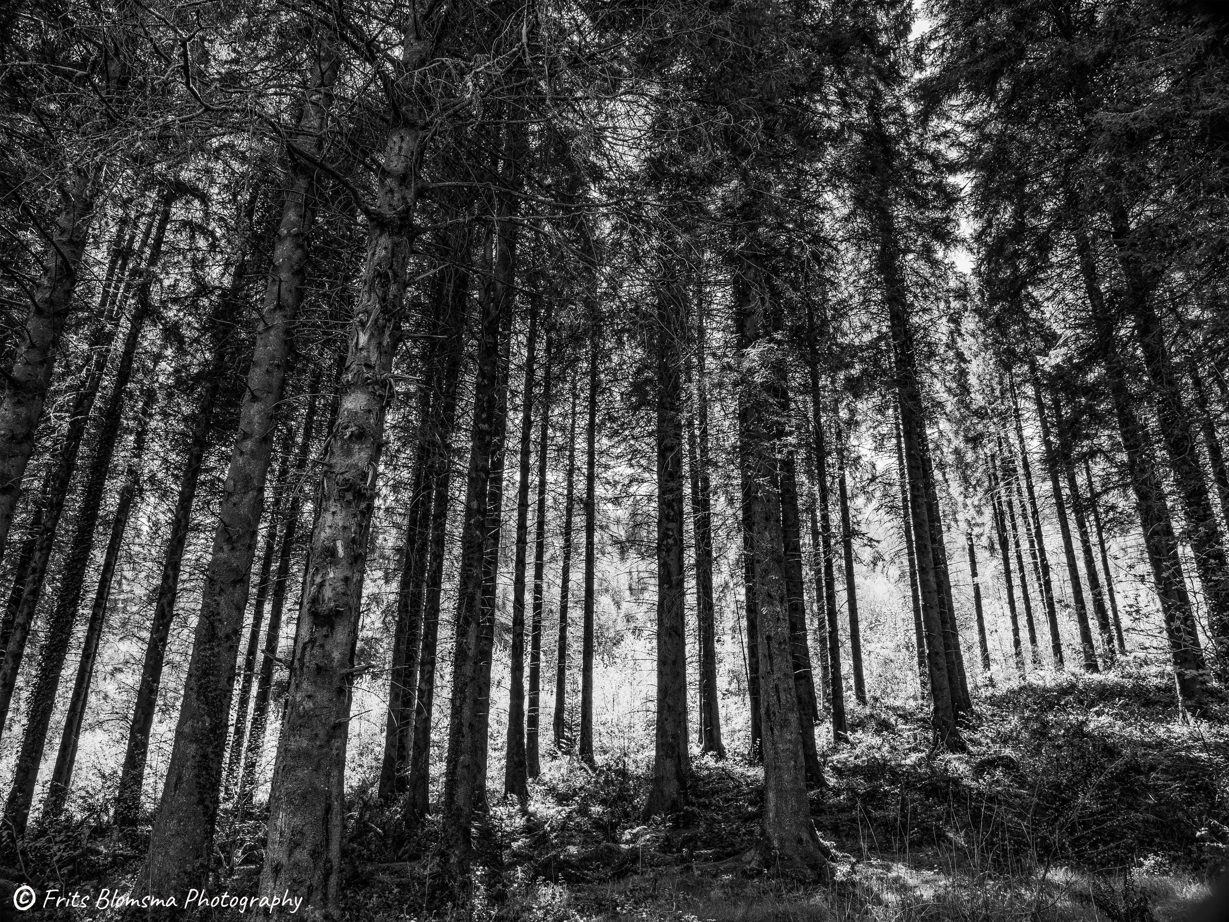 brecon_1330540_fb_bw.jpg