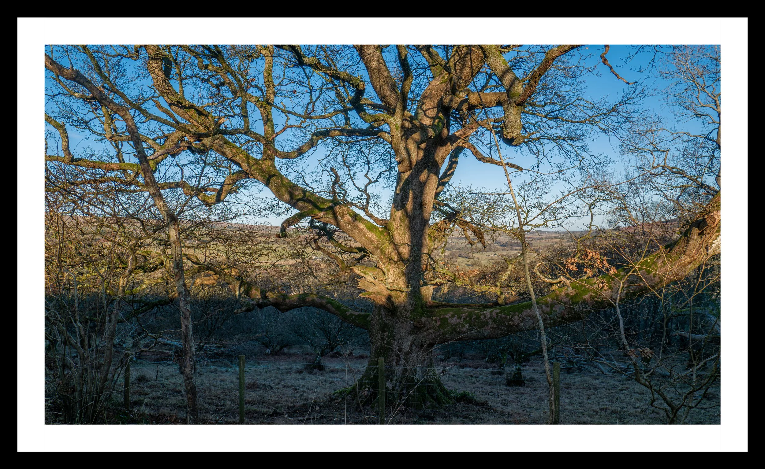 A3 Print | Order Code 131554