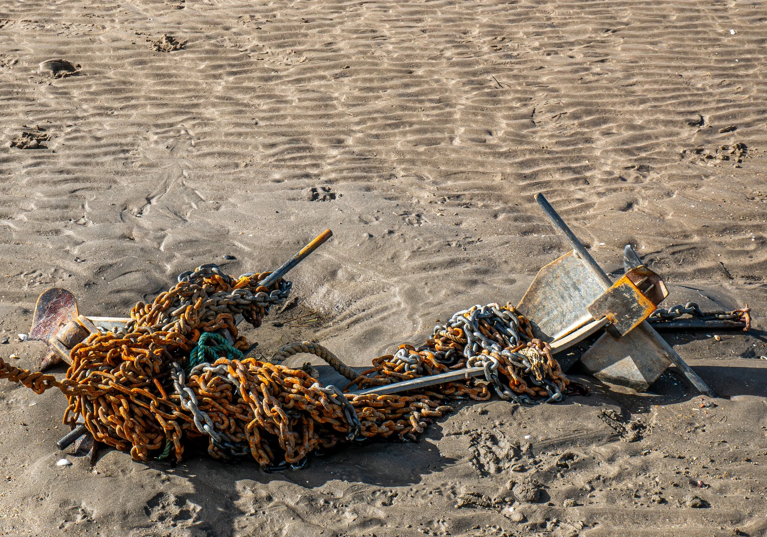 A3 Print | Order Code A3_1320214