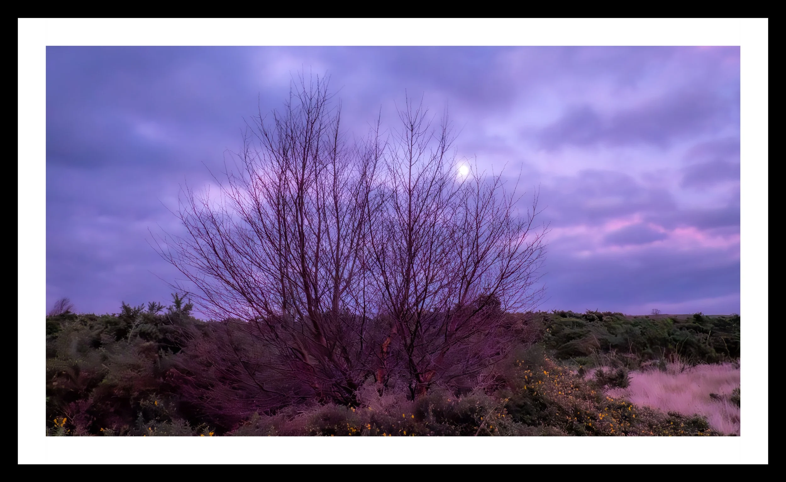 A3 Print | Order Code A31310510