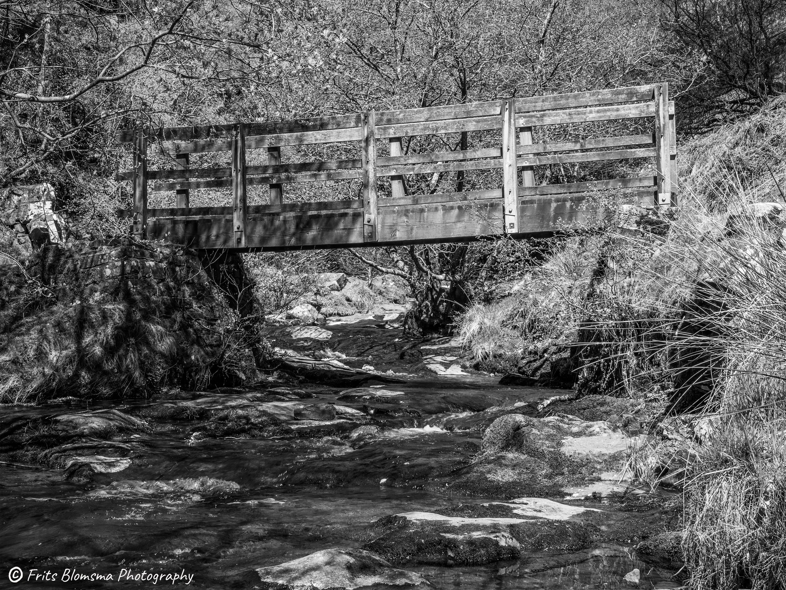 brecon_1330571_fb_bw.jpg