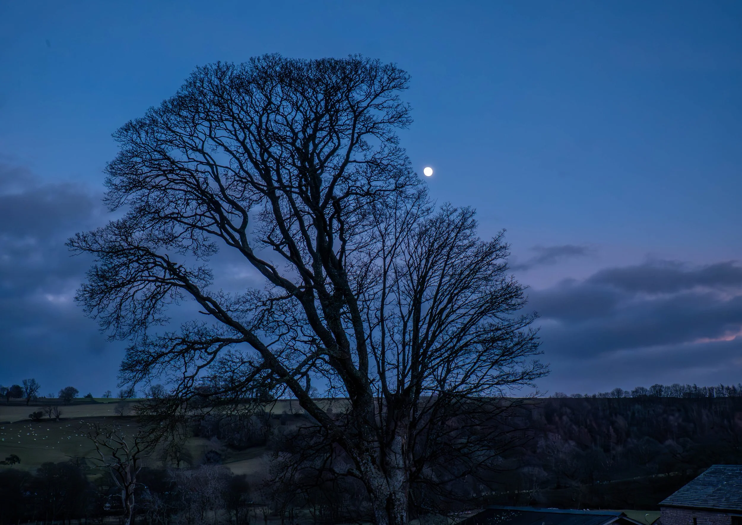 A3 print | Order Code A31310500