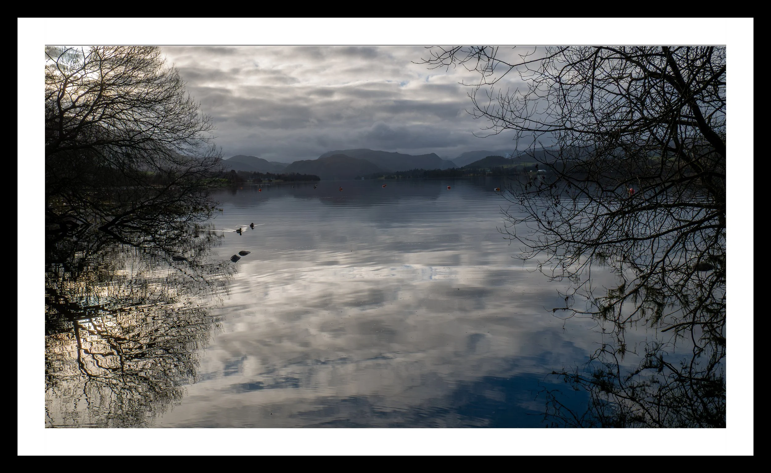 A3 Print |Order Code A31310425