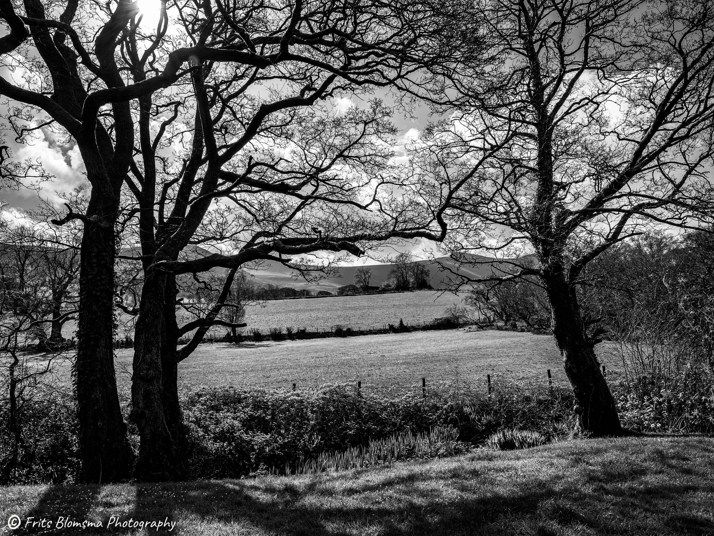 brecon_-1330219_fb_bw.jpg