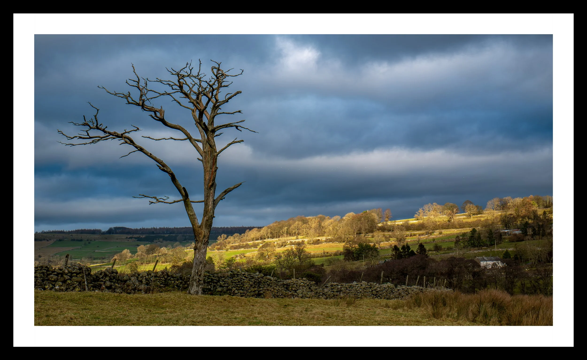 A3 Print | Order Codce A31310487