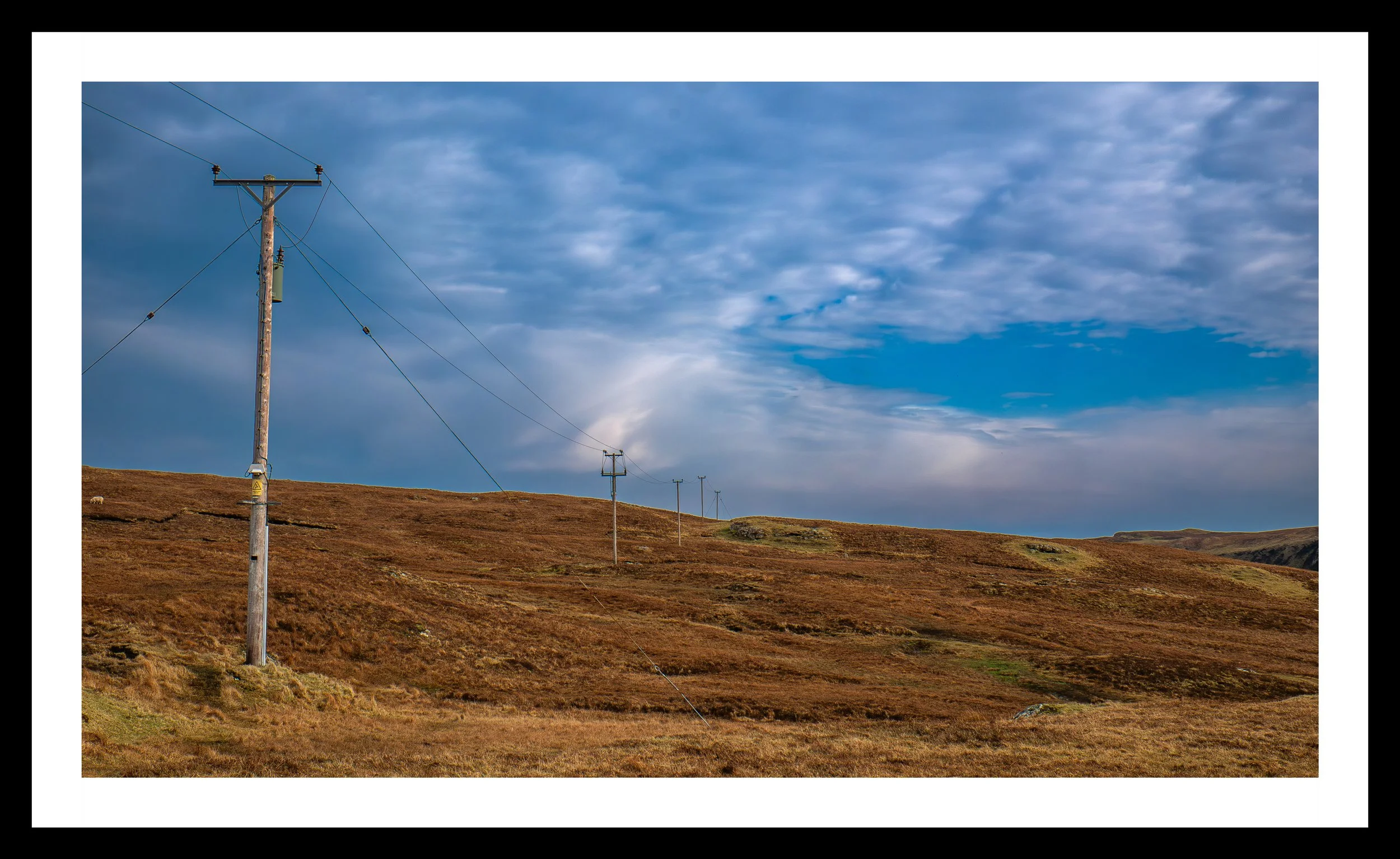 A3 Print | Order Code A31210915