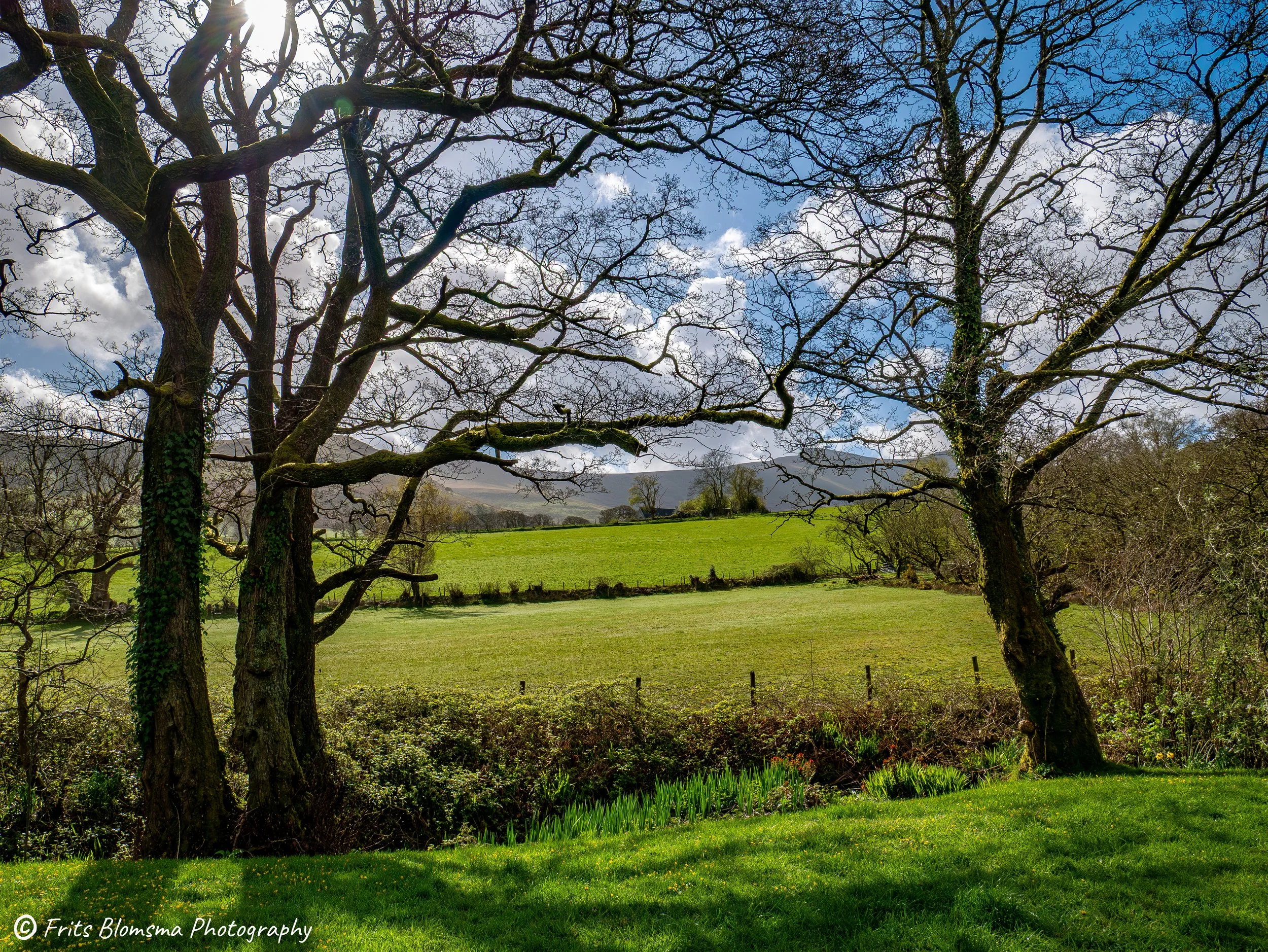 A3 Print | Order Code A3_wales_brecon_-1330219_fb