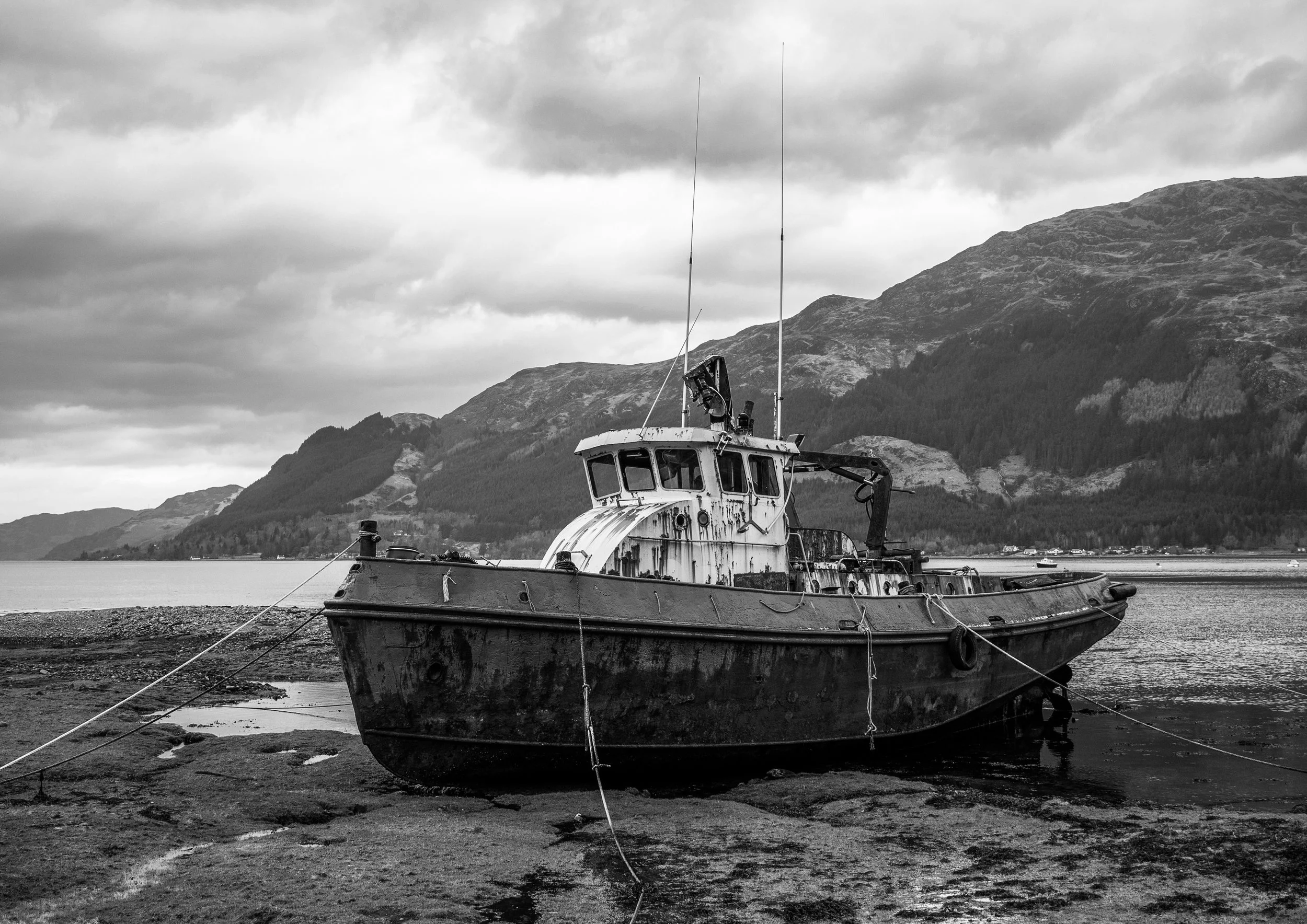 A3 Print | Order Code A3_1210783_bw