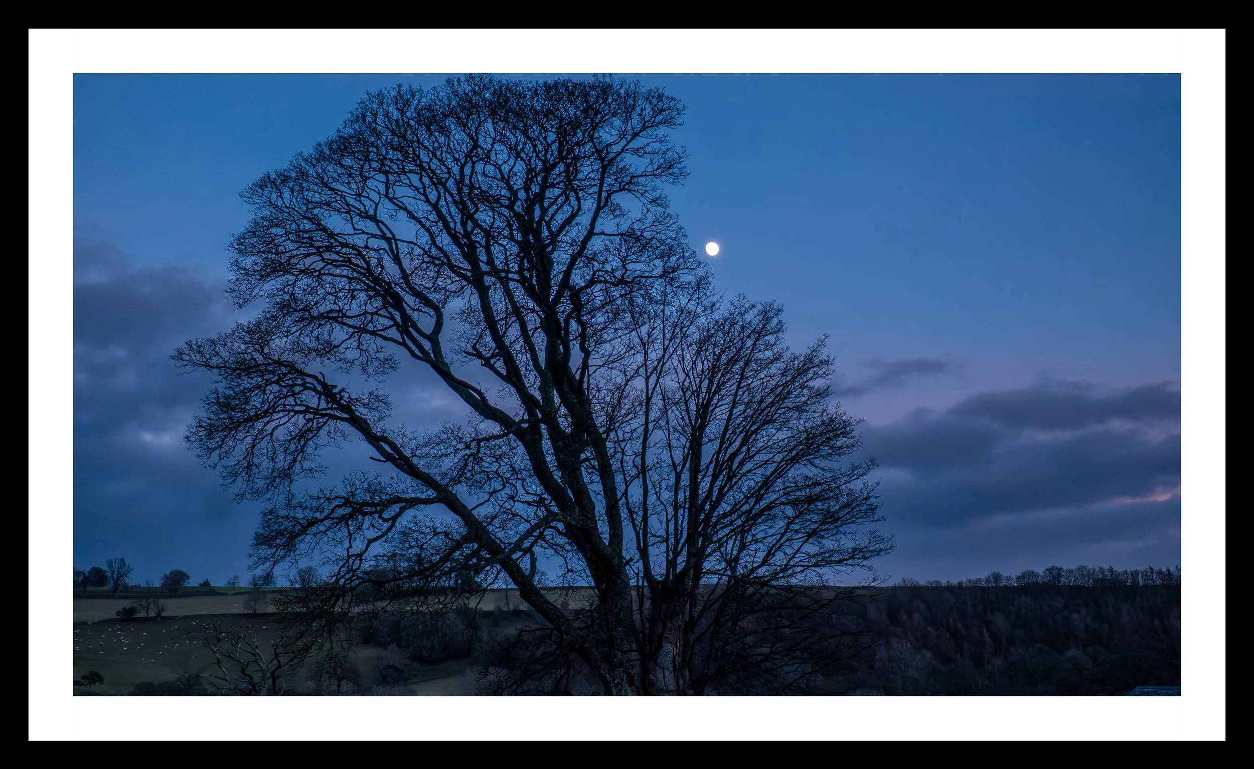 A3 print | Order Code A31310500