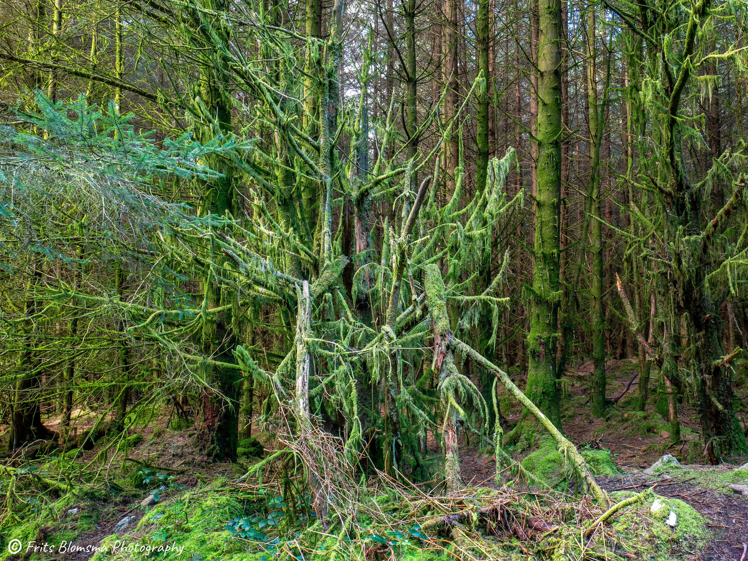 A3 Print | Order Code A3_wales_brecon_1330348_fb