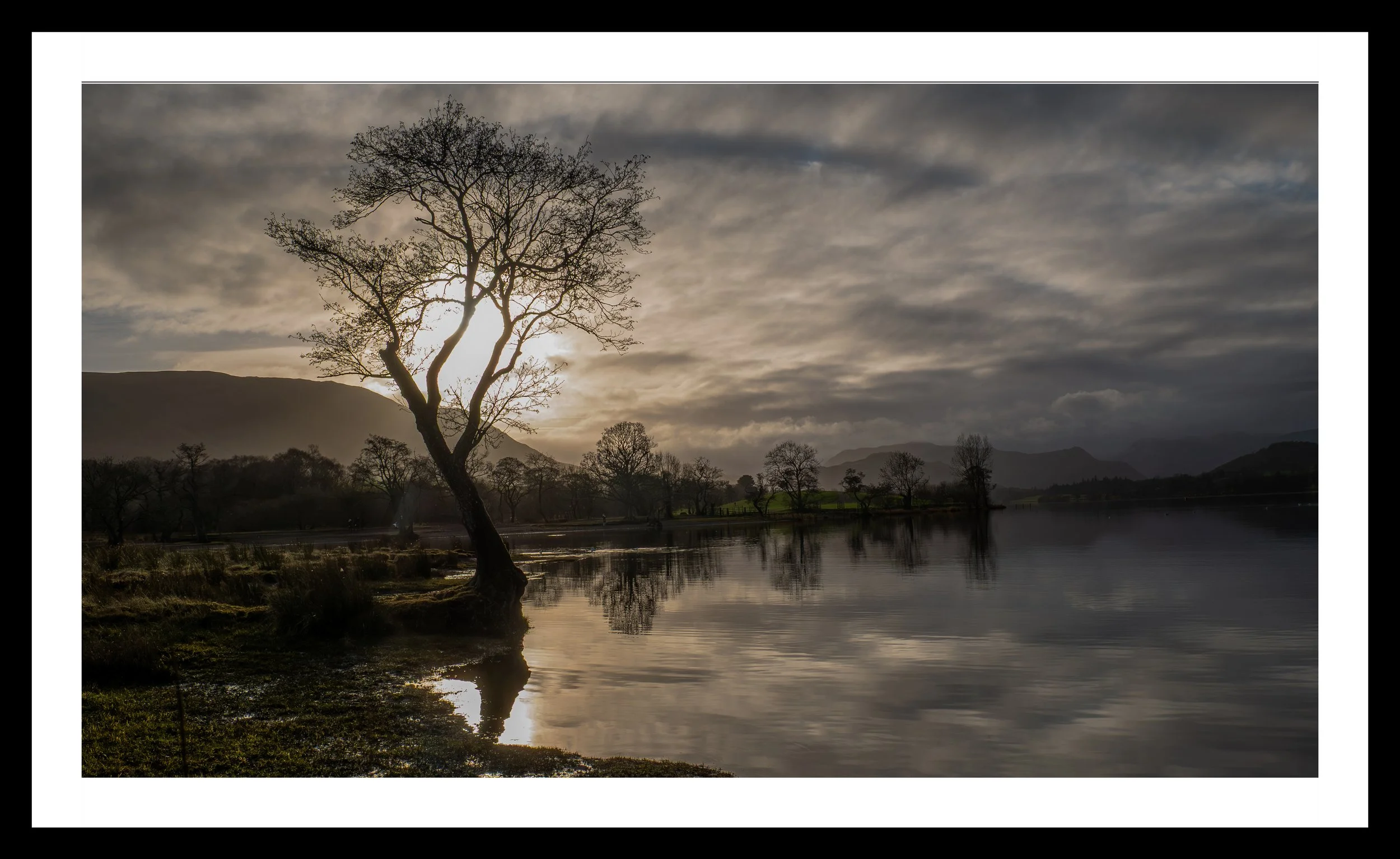 A3 Print | Order Code A31310445