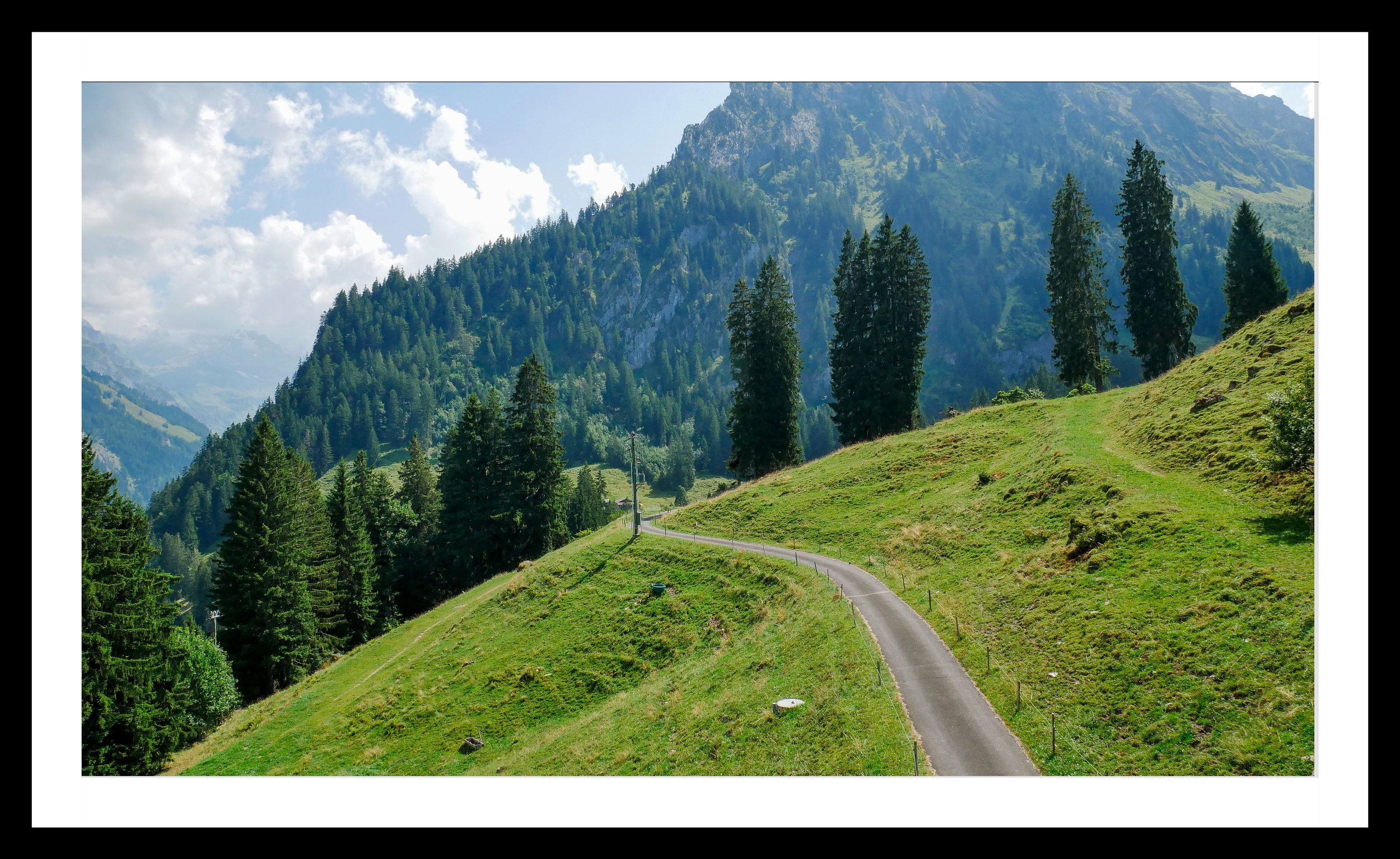 A3 Print | Order Code A3_1260102e