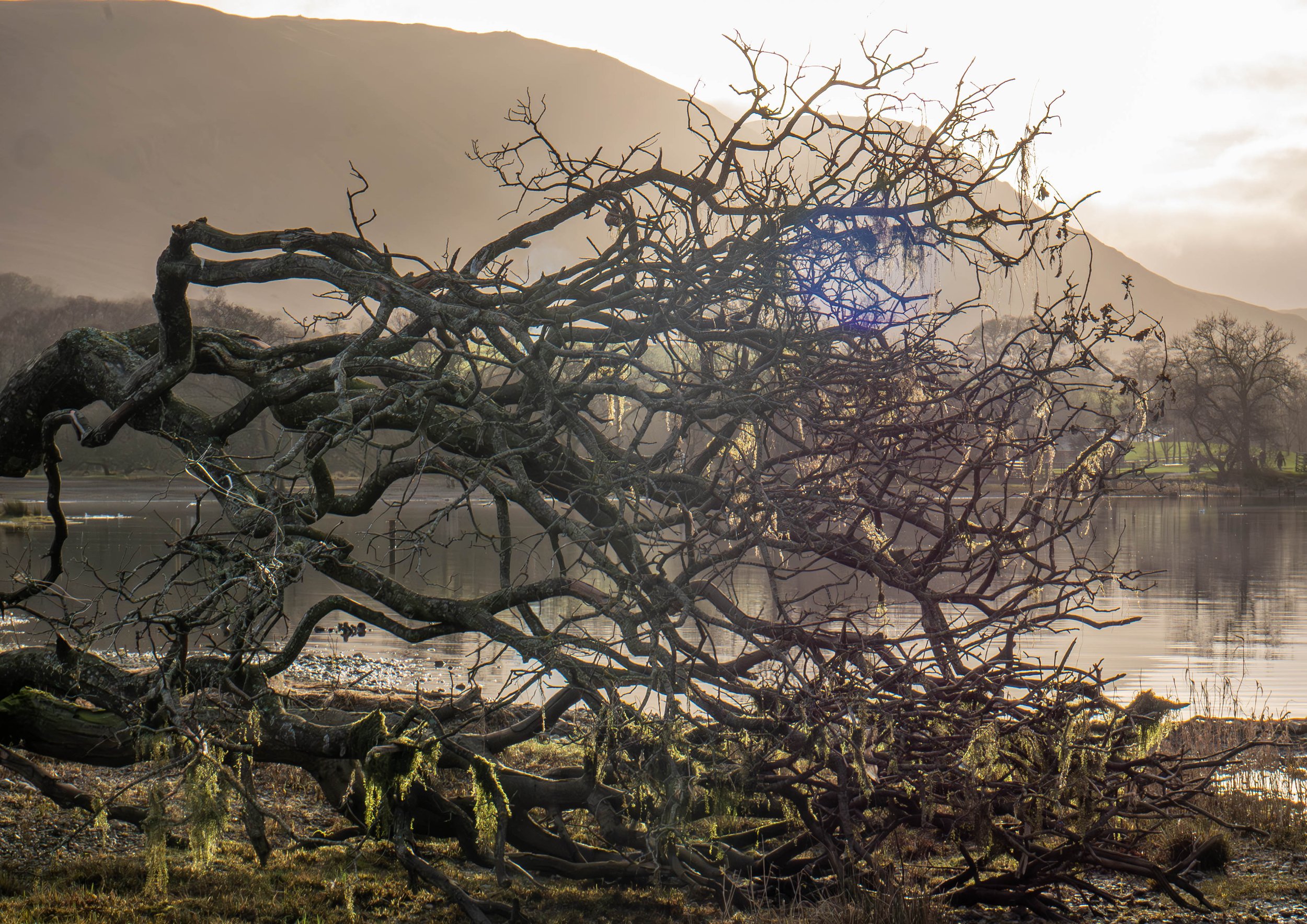 A3 Print | Order Code A31310443