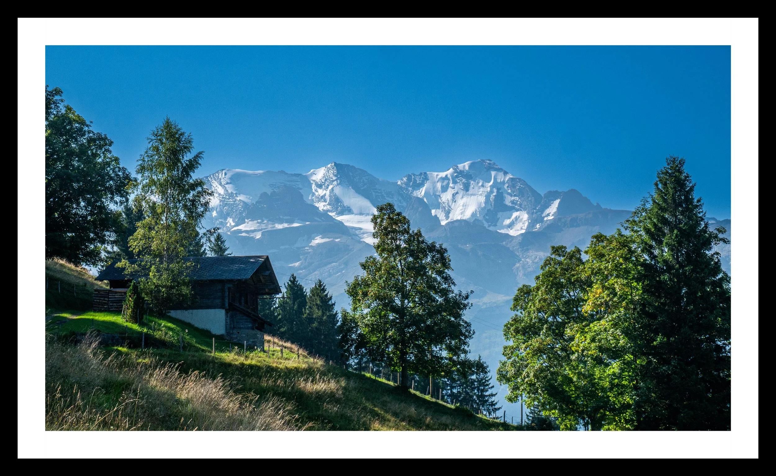 A3 Print | Order Code A3_1250817