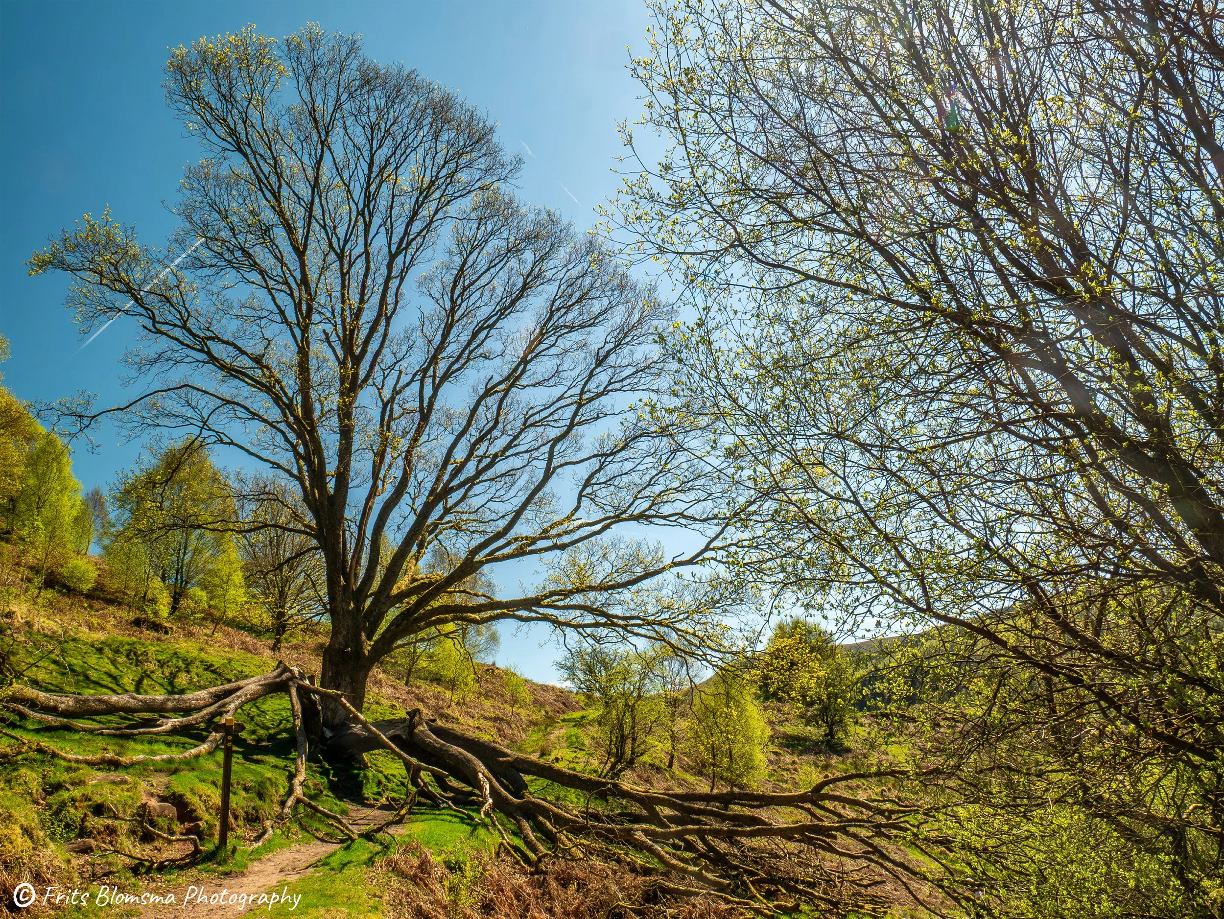 A3 Print | Order Code A3_wales_brecon_1330570_fb