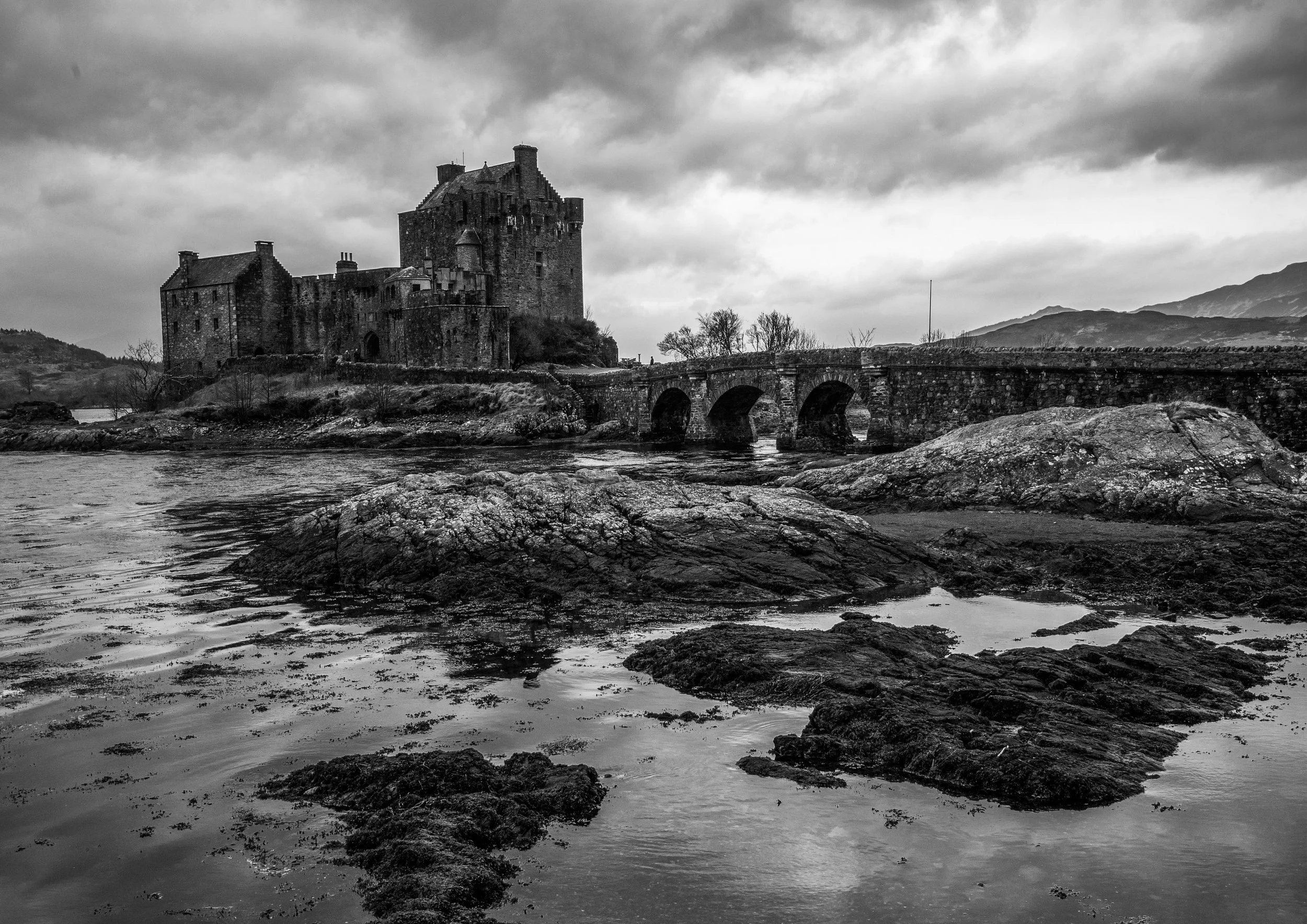 A3 Print | Order Code A3_1210788_bw