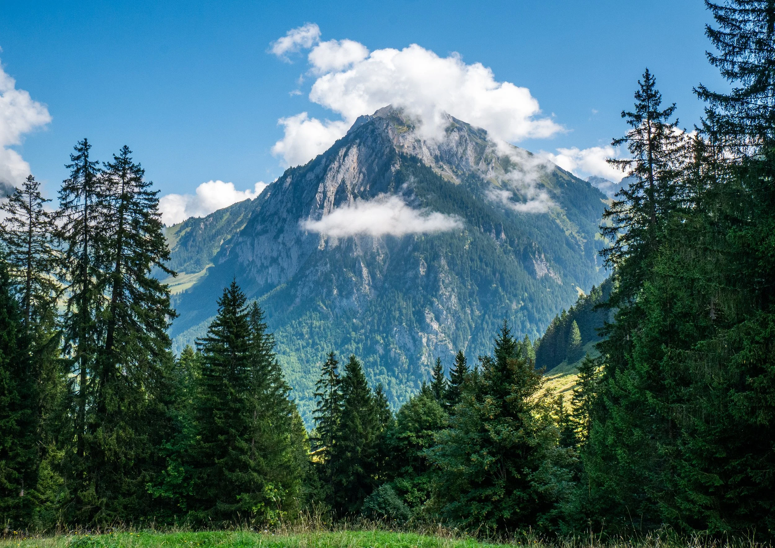 A3_swiss-1260713.jpg