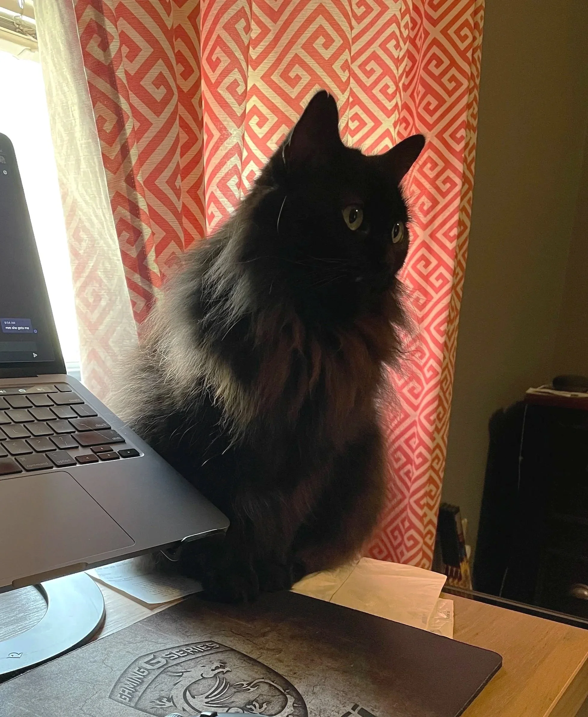 A black and gray cat sitting on a desk next to a laptop, partially hiding behind the laptop screen. There's a curtain with a red geometric pattern in the background and a gray mouse pad on the desk.