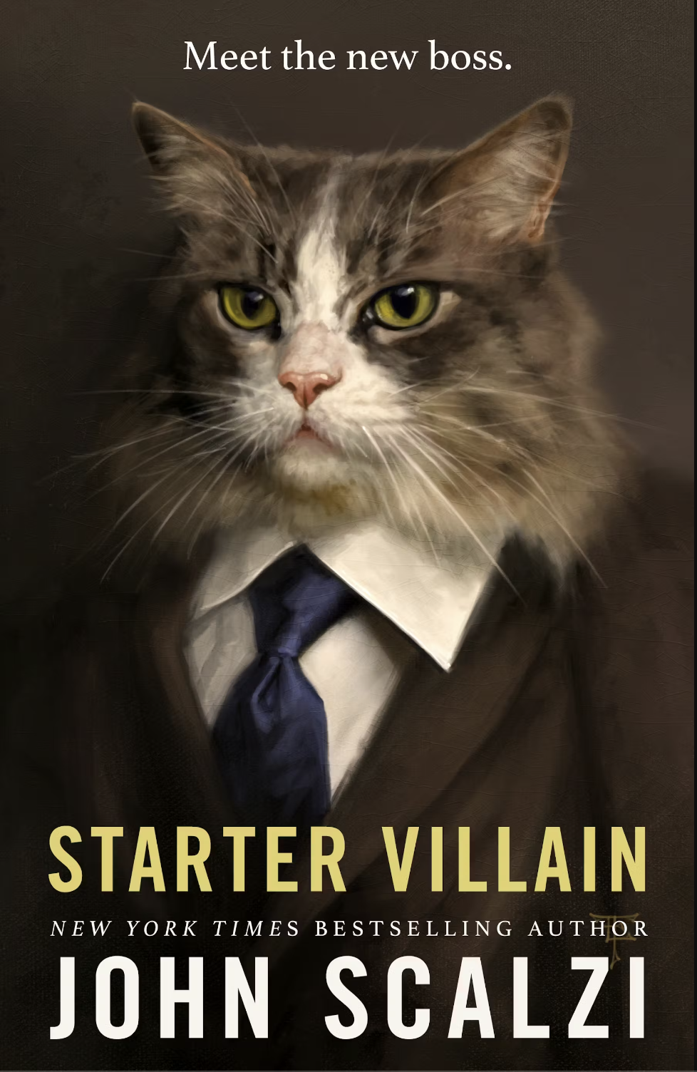 Make this the book cover