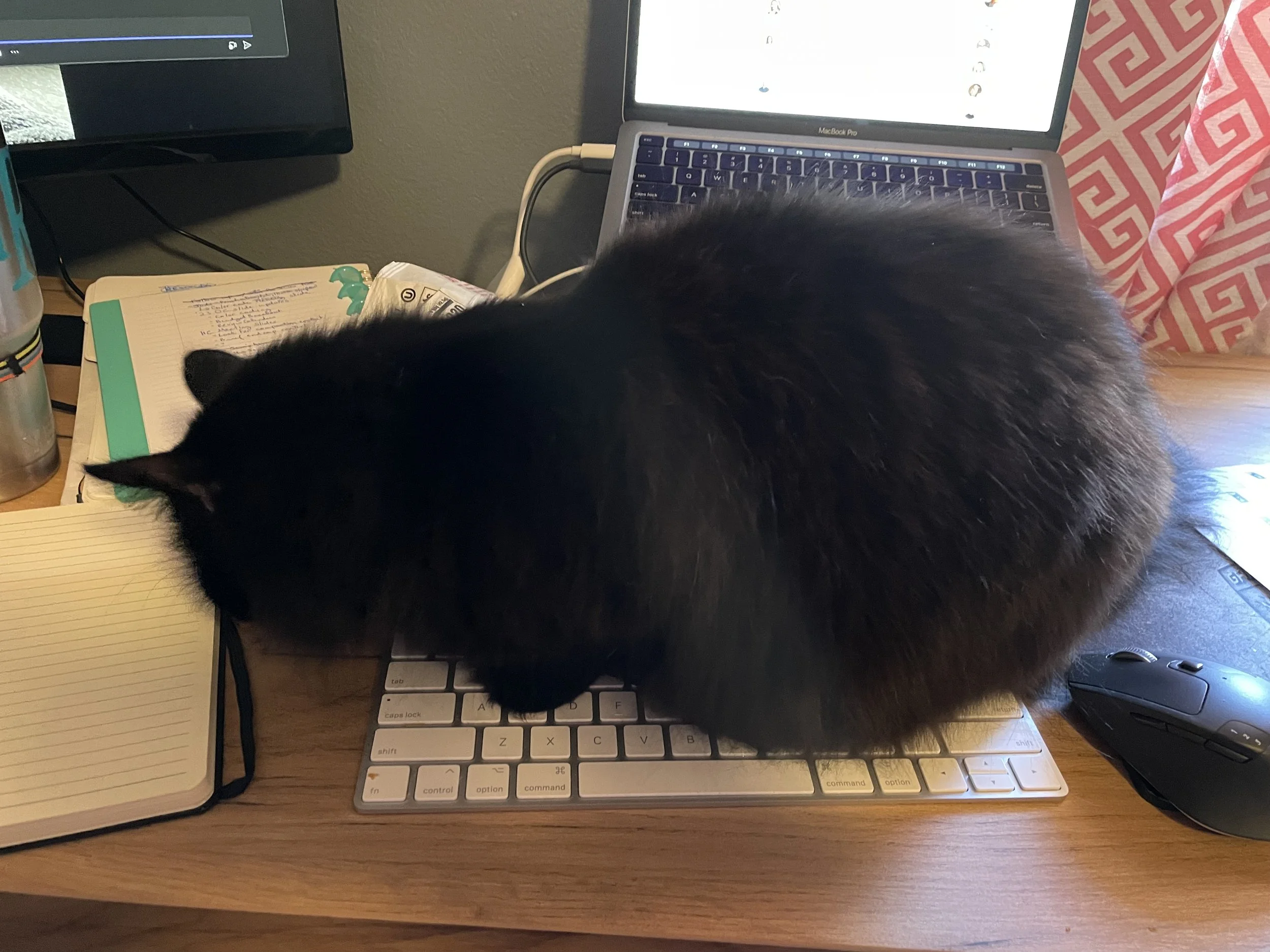 A black cat sitting on a keyboard on a cluttered wooden desk, partially obscuring a laptop.