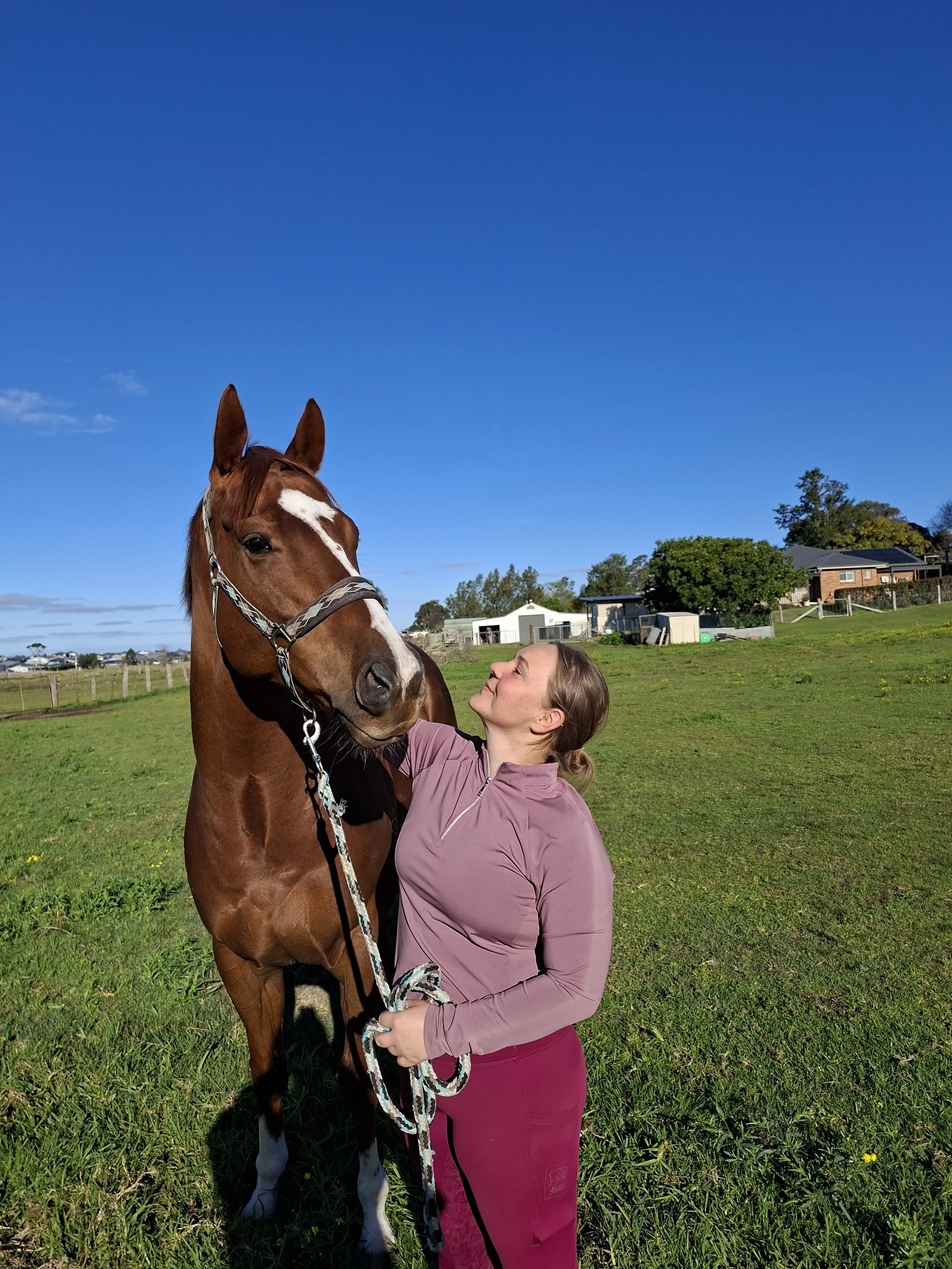 Equine Assisted Supervision (Cultural and Group)