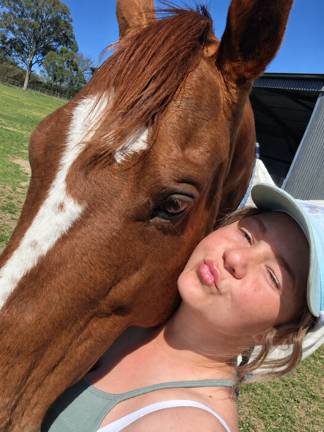 Equine Assisted therapy Maitland NSW