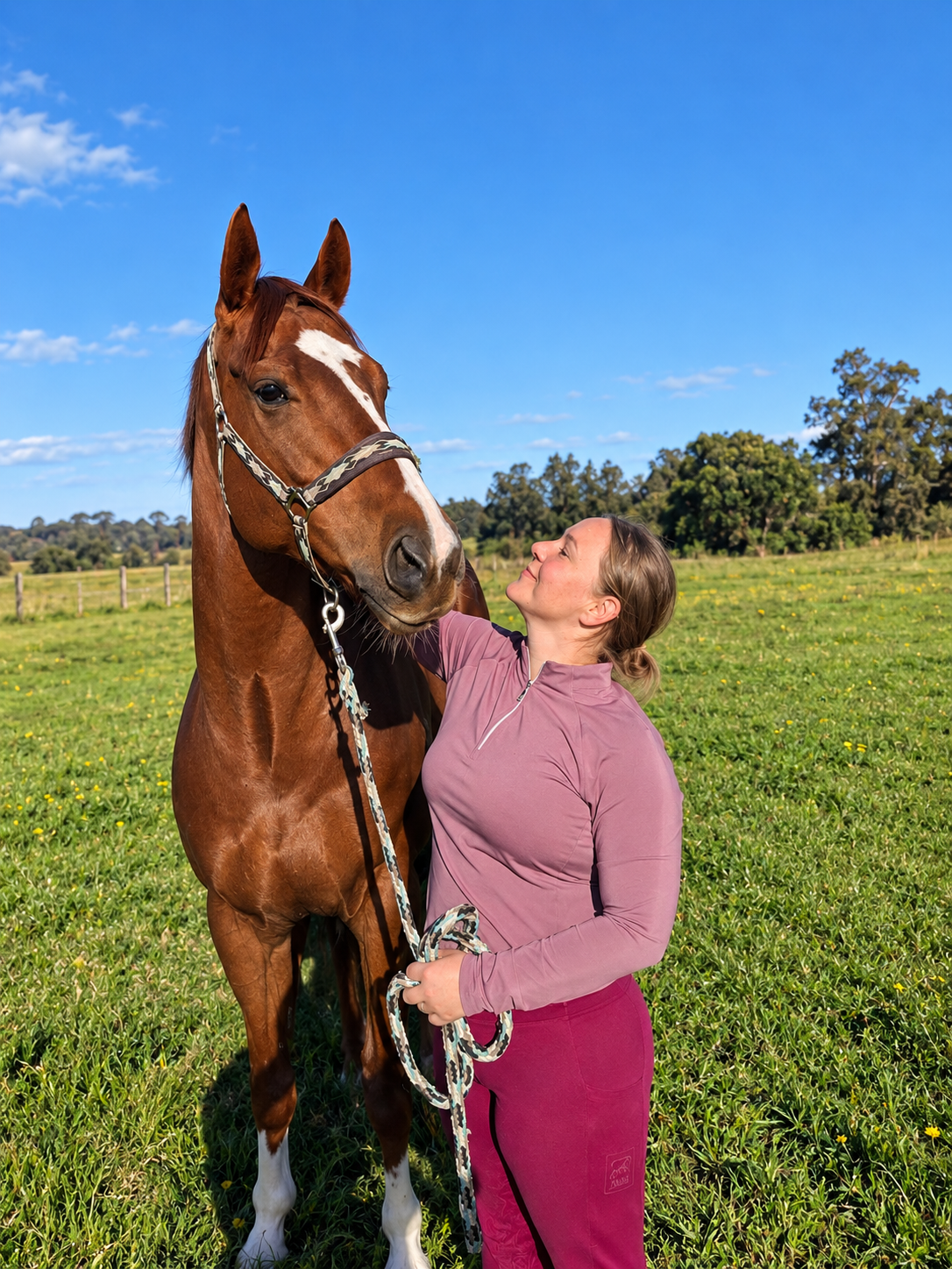 Equine Assisted Supervision