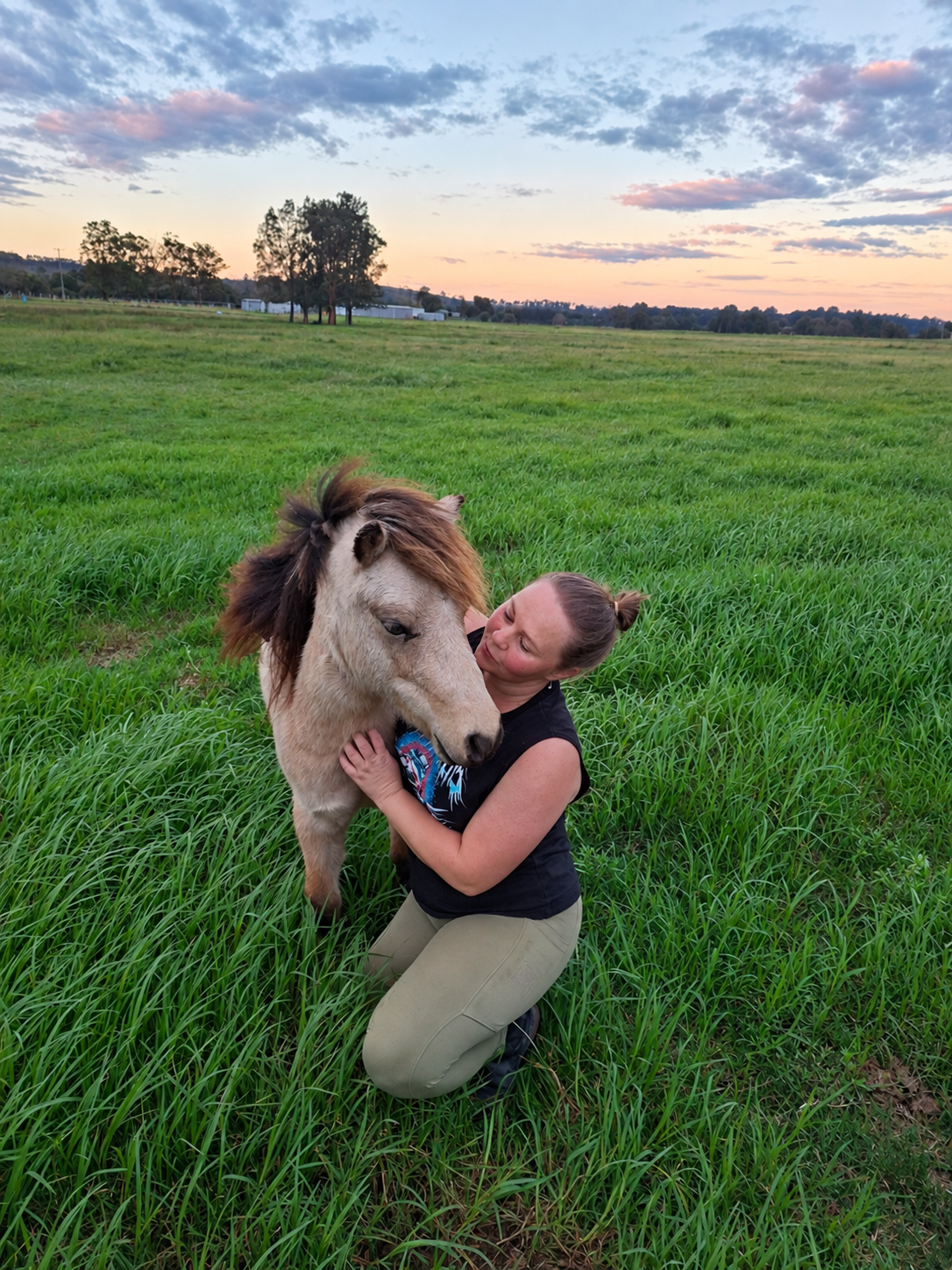 Equine Assisted therapy Maitland NSW
