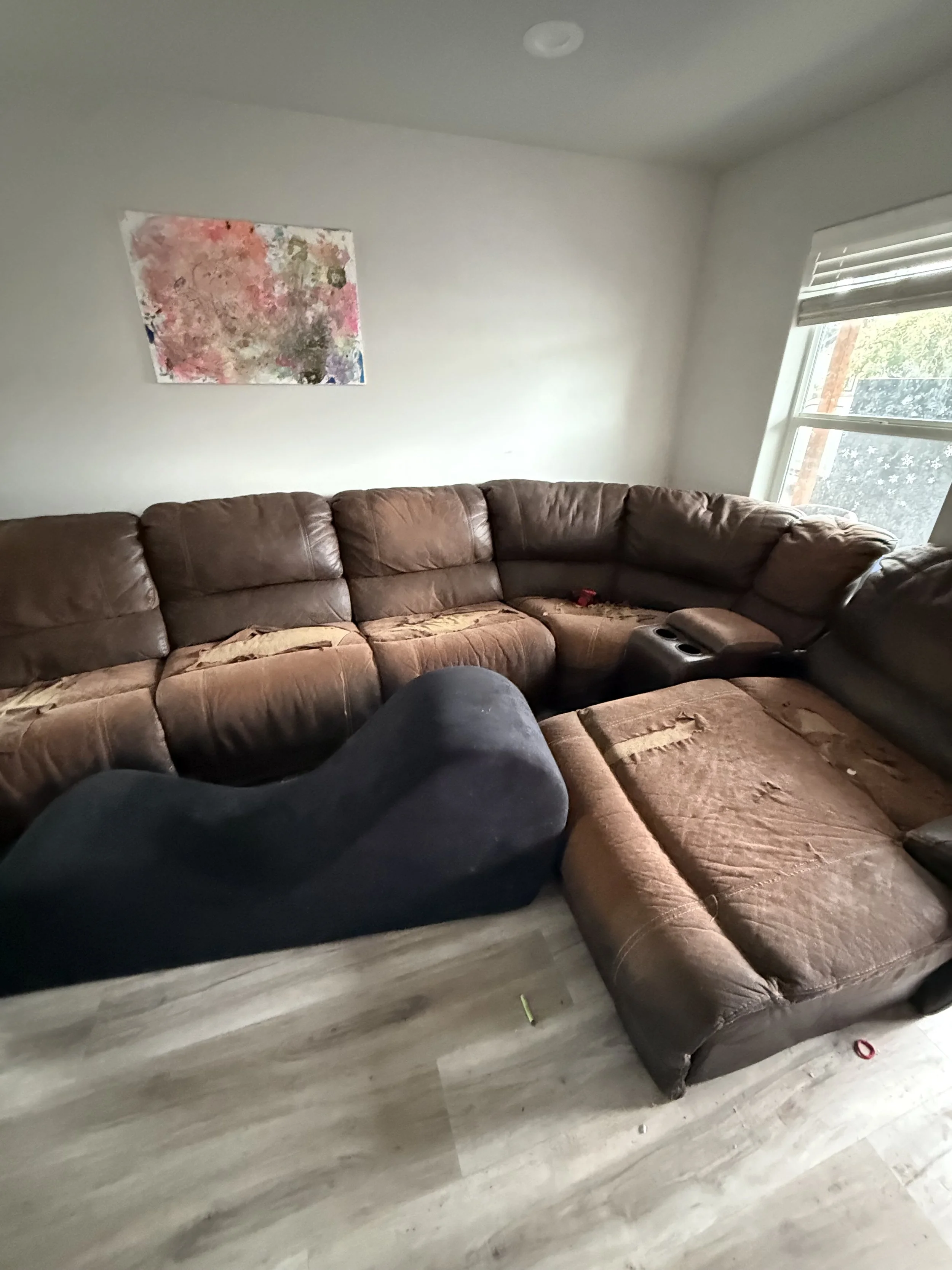 Furniture Removal in Albany, OR