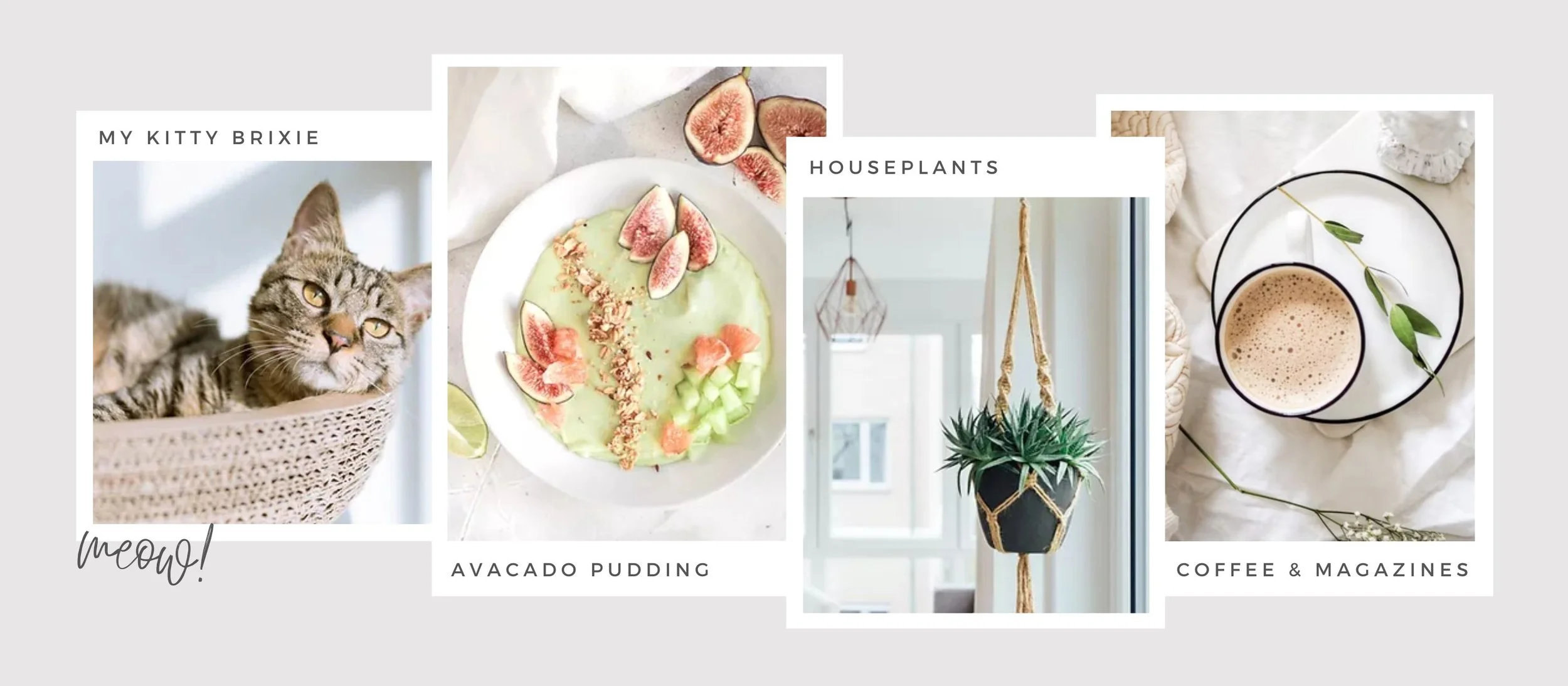 A collage featuring a cat in a woven basket, a plate of avocado pudding topped with figs and cucumber, a hanging houseplant with long leaves, and a cup of coffee with a sprig of greenery, with each section labeled accordingly.