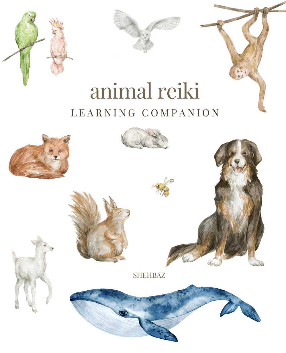 Animal Reiki Learning Companion - E-book