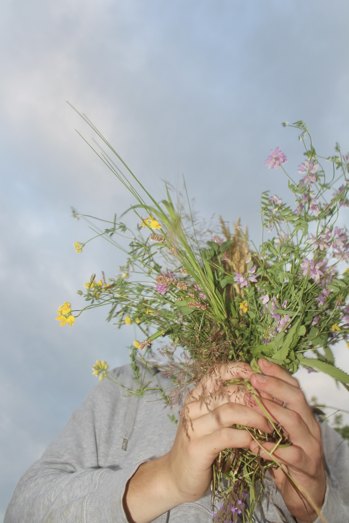 Screen Shot 2025-11-30 at 12.05.25 AM.png