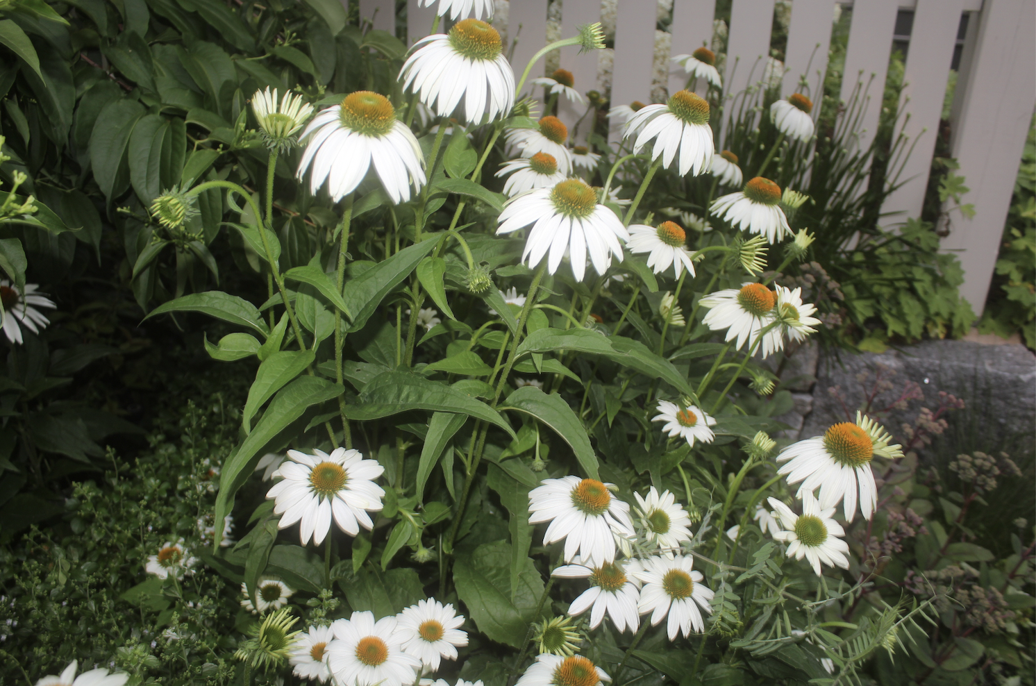 Screen Shot 2025-11-30 at 12.21.14 AM.png