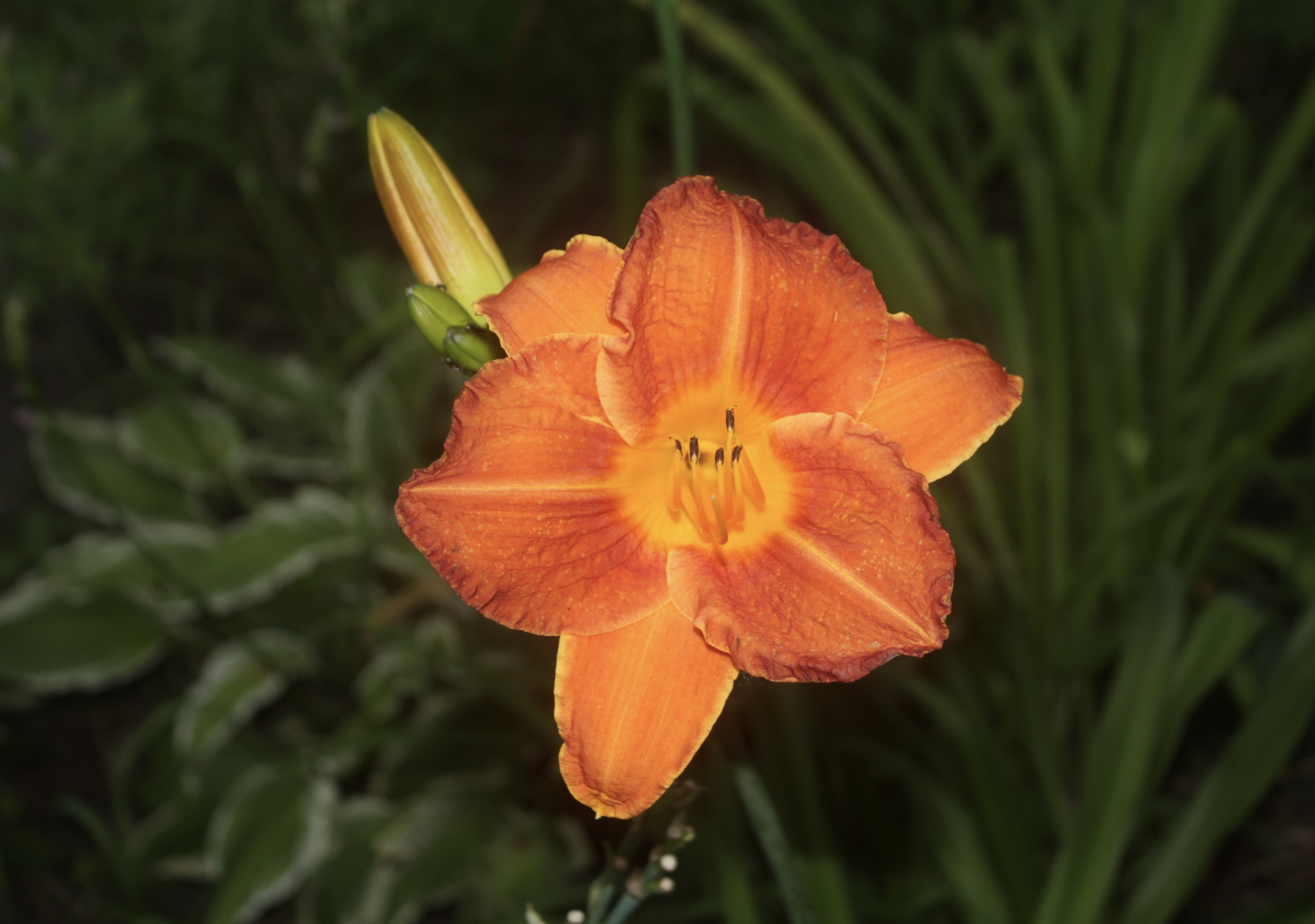 Screen Shot 2025-11-30 at 12.02.26 AM.png