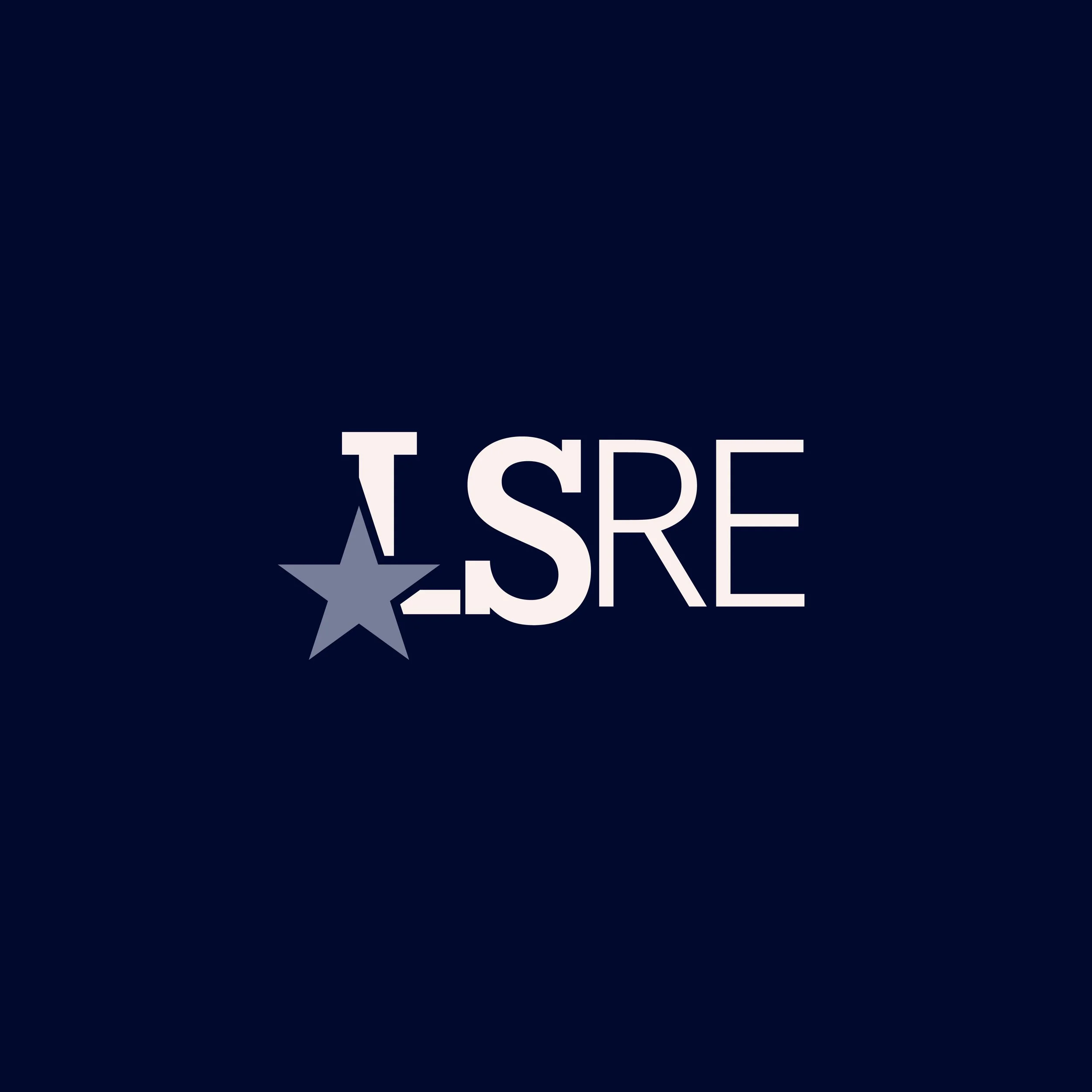 LoneStarRealEstate-02.jpg