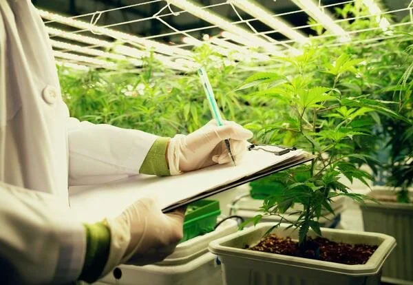 Good Breeding Starts With Listening