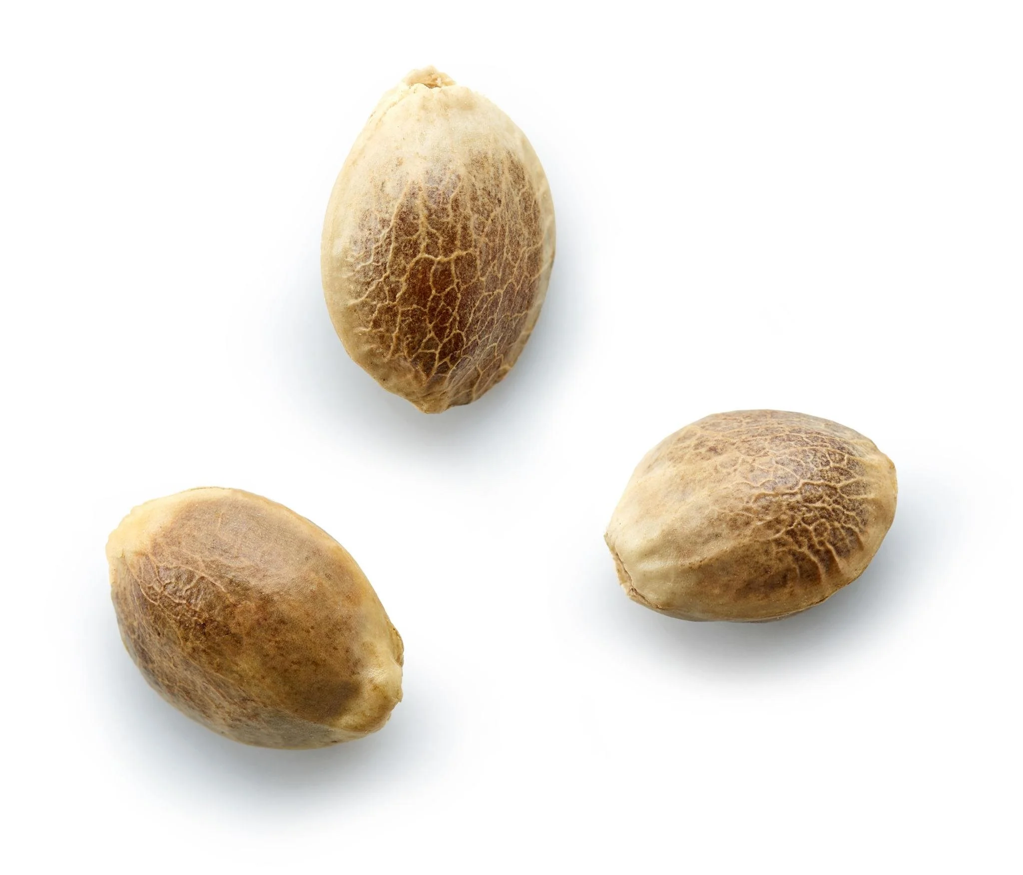 A Strain Is More Than a Name