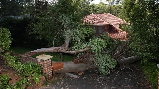 Large tree fallen onto a patio, blocking the driveway and partially crushing a brick pillar, with a house in the background.