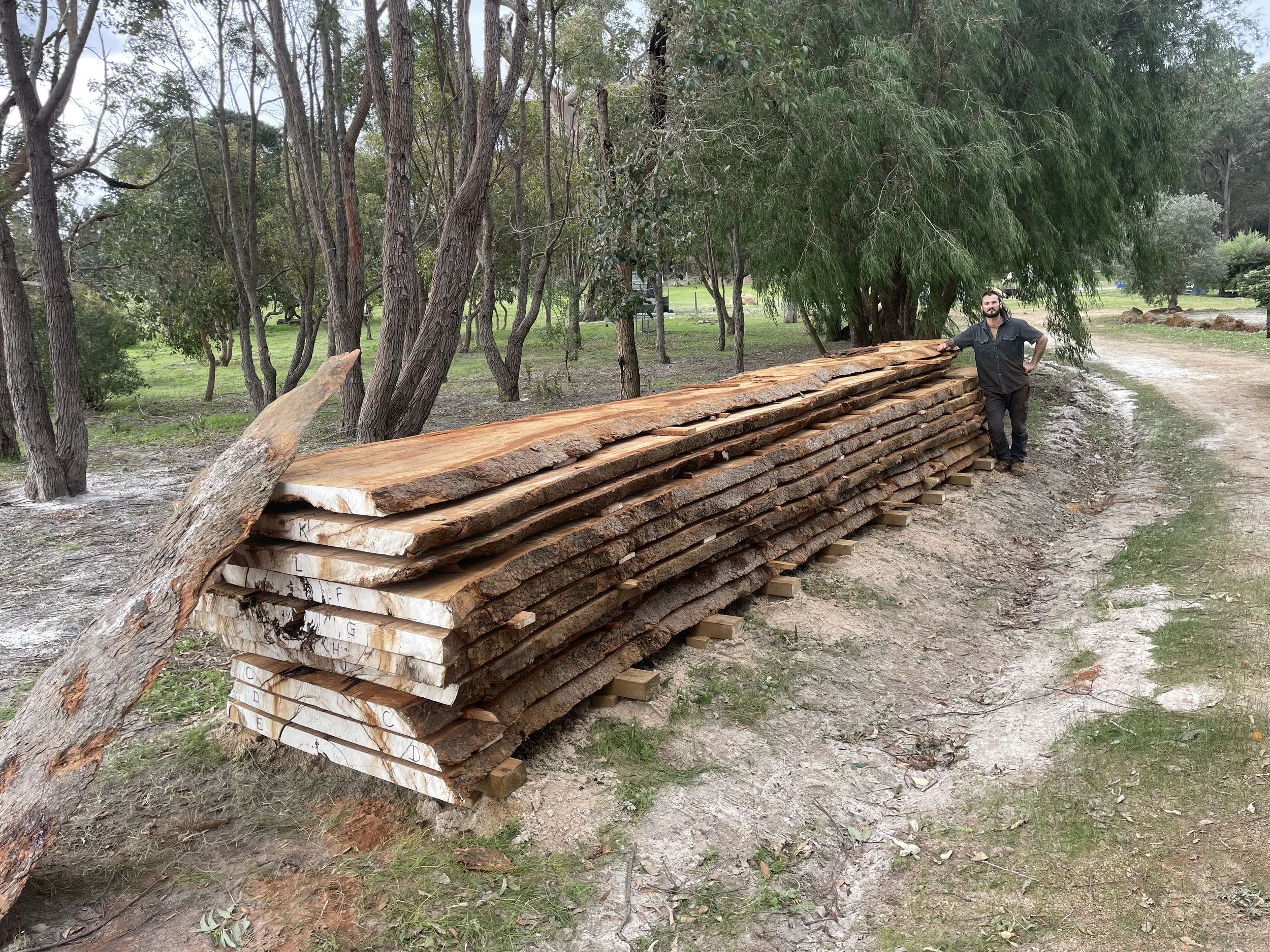 A man stands next to a large pile of cut wooden planks outdoors in a natural setting with trees and a dirt path.