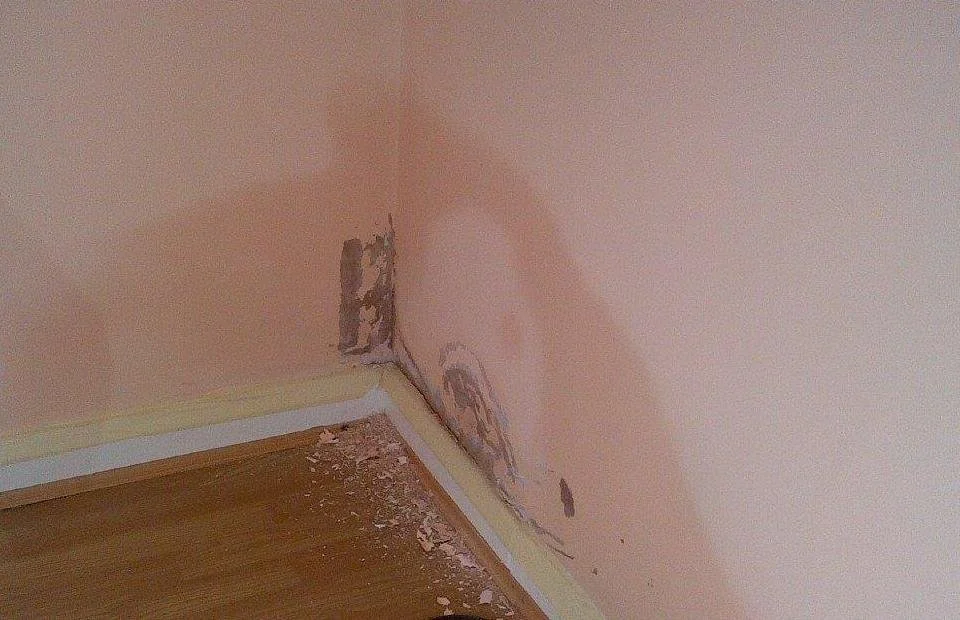 Rising-Damp-Internal-Wall-tidemark.jpg